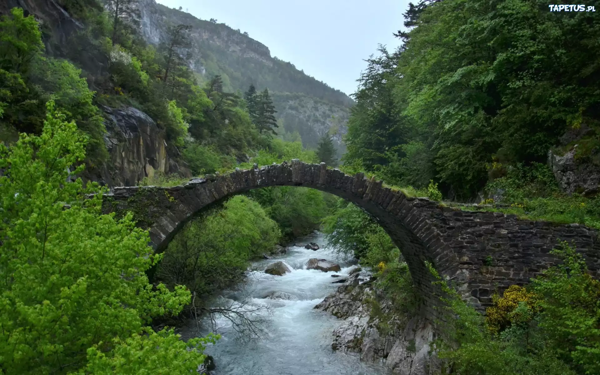 Rzeka, Most, Góry, Lasy