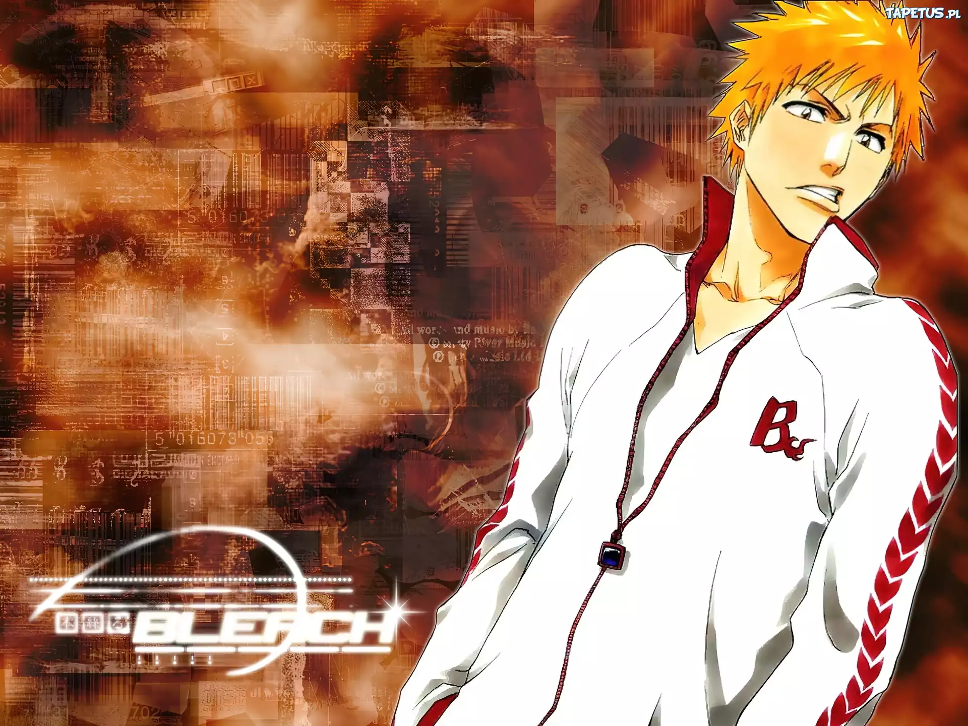 Bleach, fecet, dres