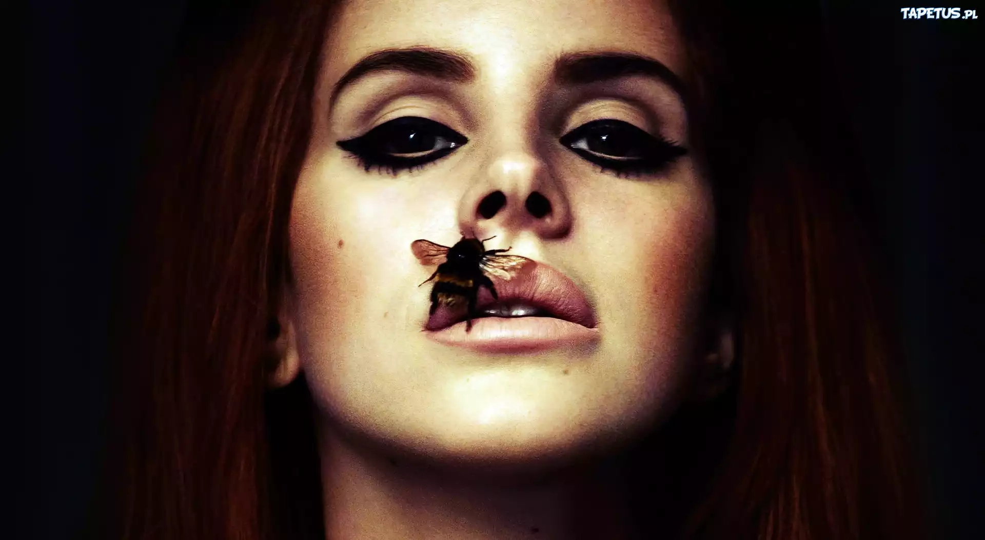 Lana Del Rey, Pszczoła