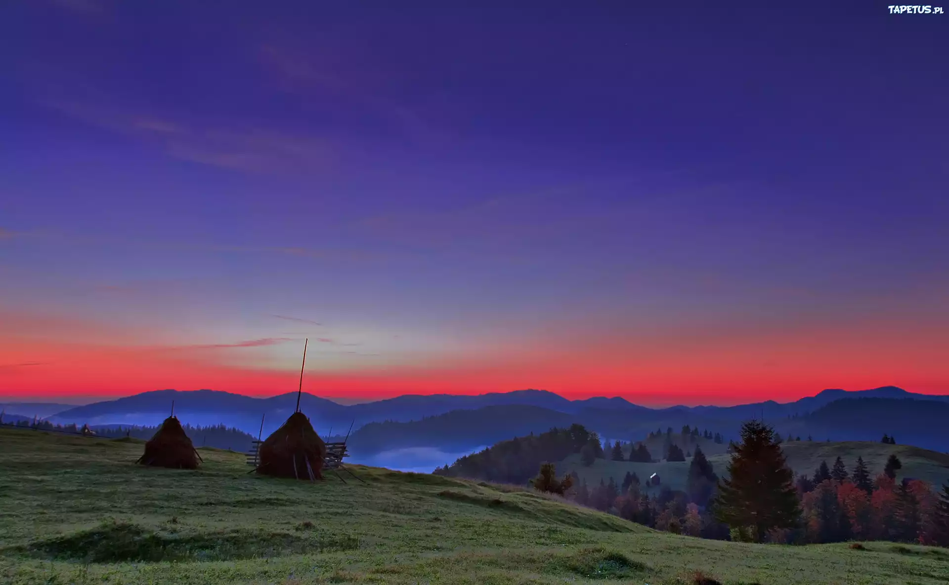 Góry, Pole, Zachód, Słońca, Drzewa