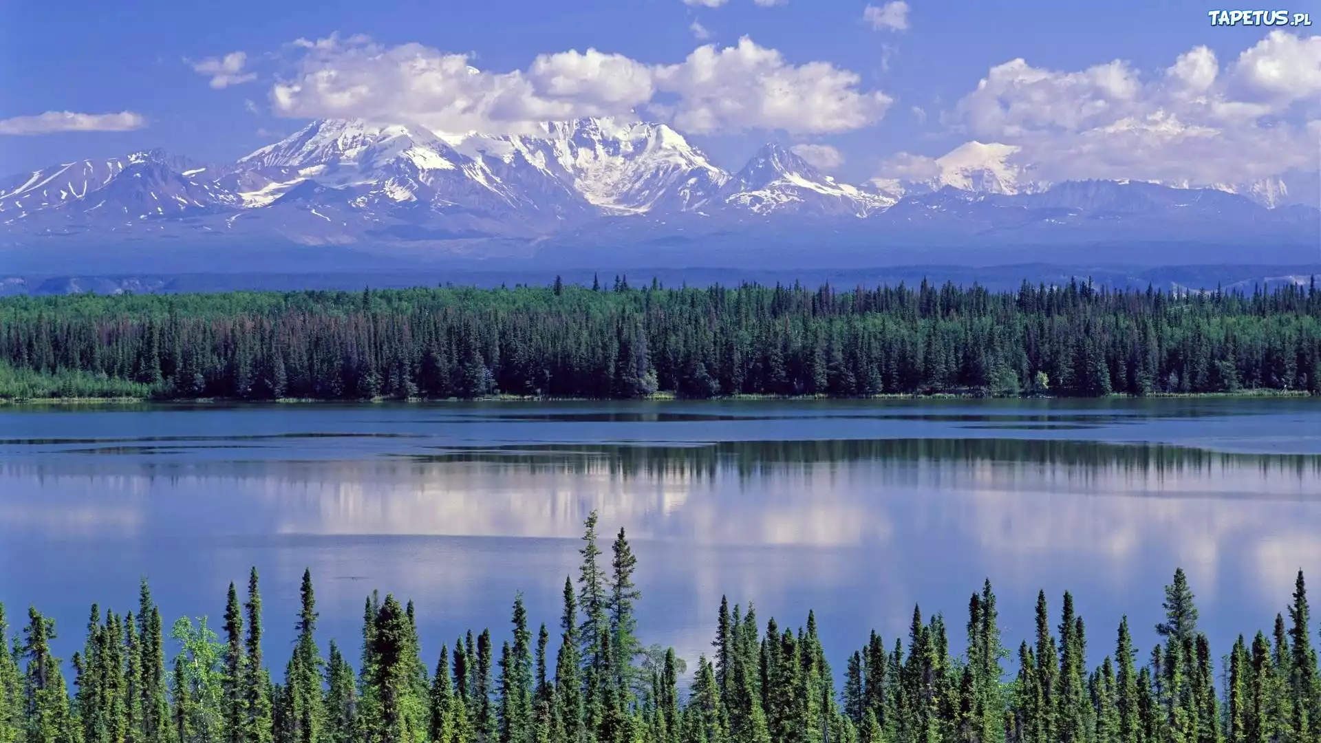 Alaska, Willow, Park, Narodowy