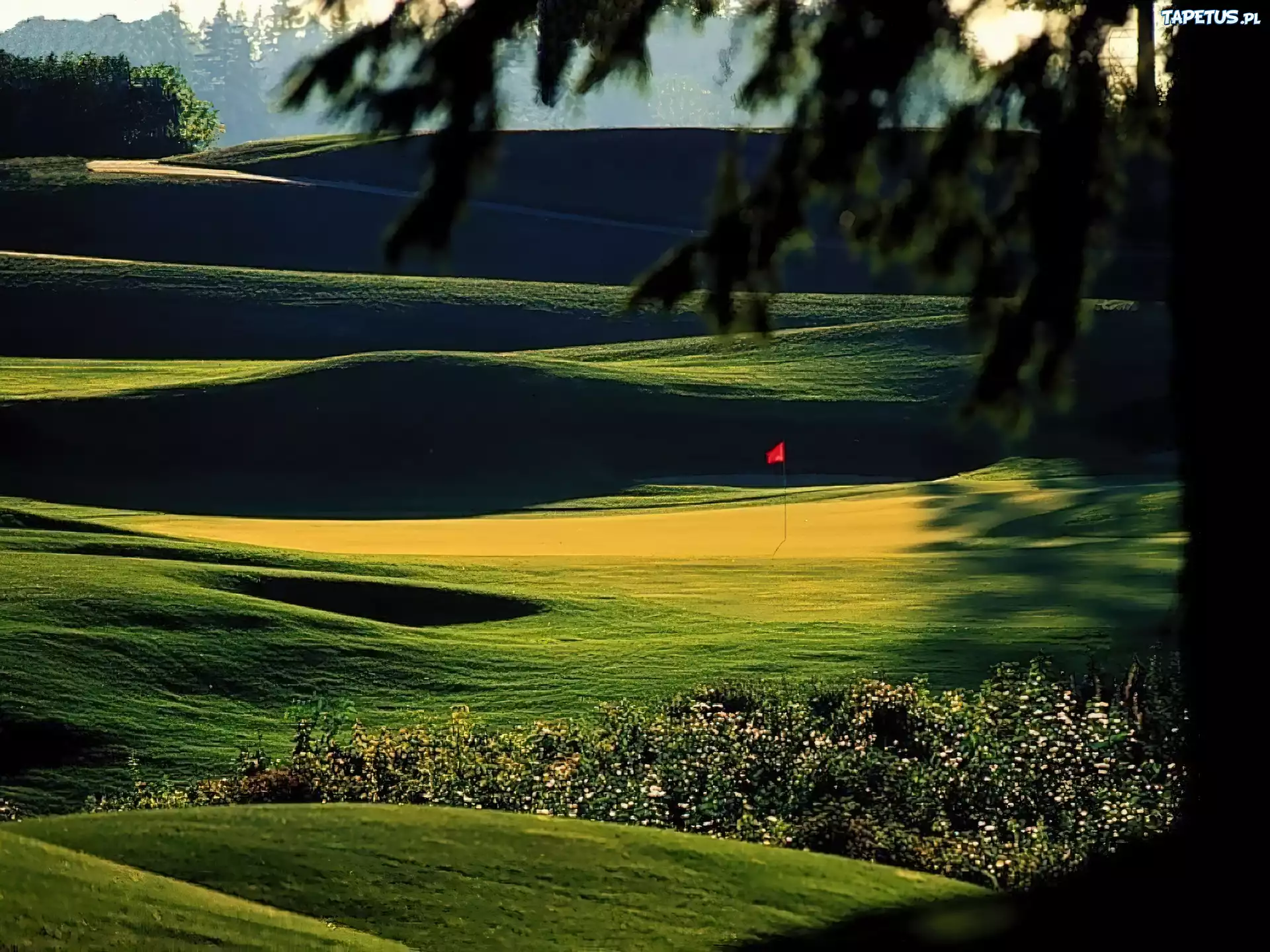 Pole Golfowe