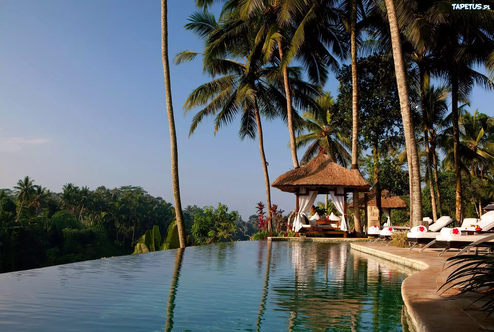 Bali, Dżungla, Hotel, Viceroy, Basen, Palmy
