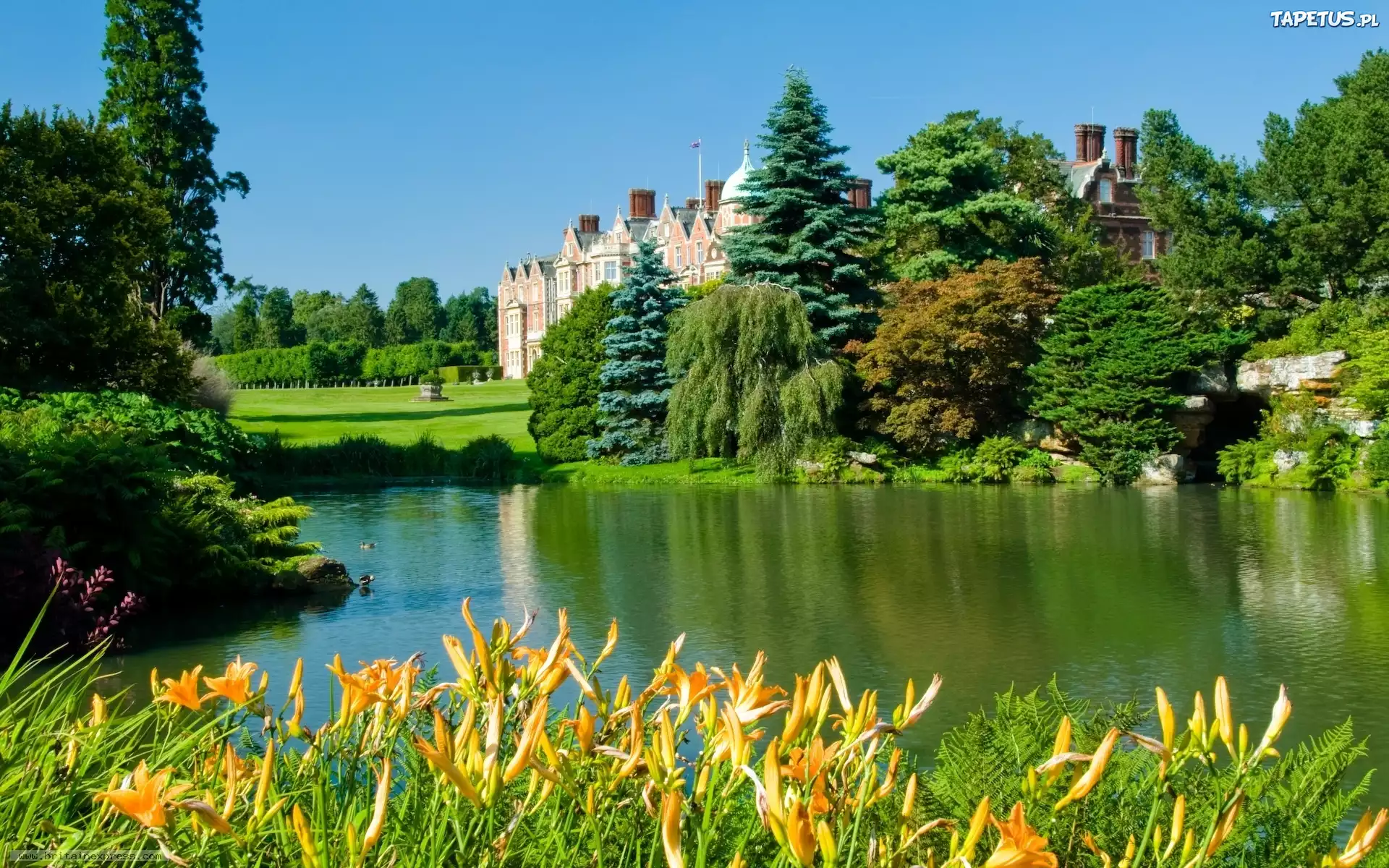 Jeziorko, Kwiatki, Drzewa, Pałac, Sandringham, Anglia
