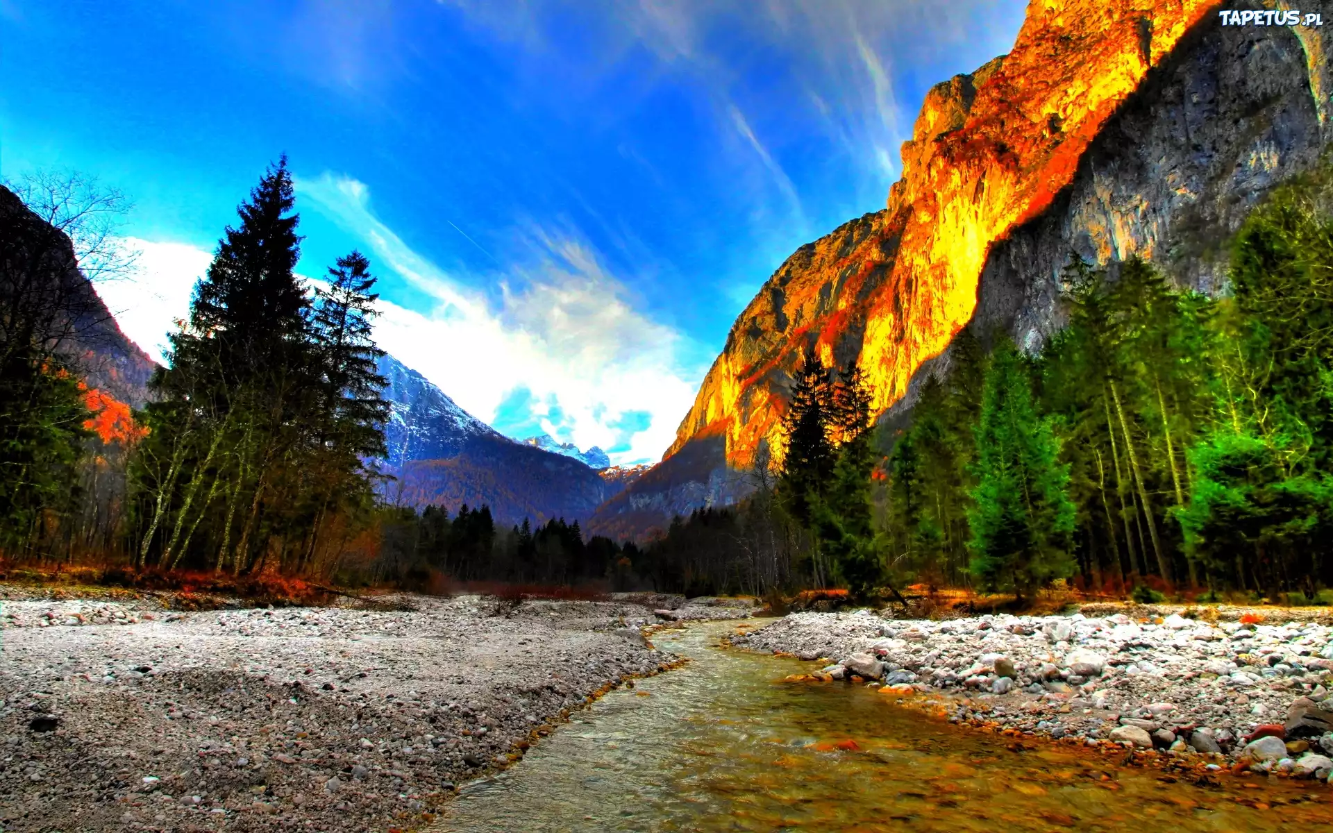 Rzeka, Góry, Lasy, Yosemite, Kalifornia