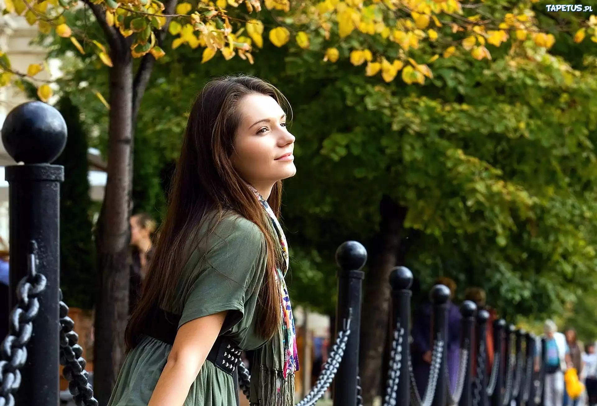 Brunetka, Park