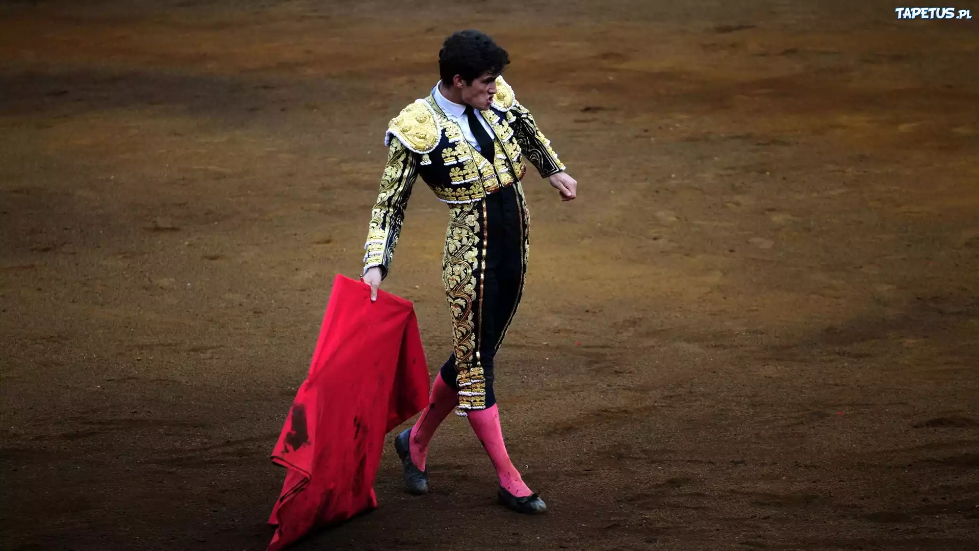 Torreador, Corrida, Hiszpania