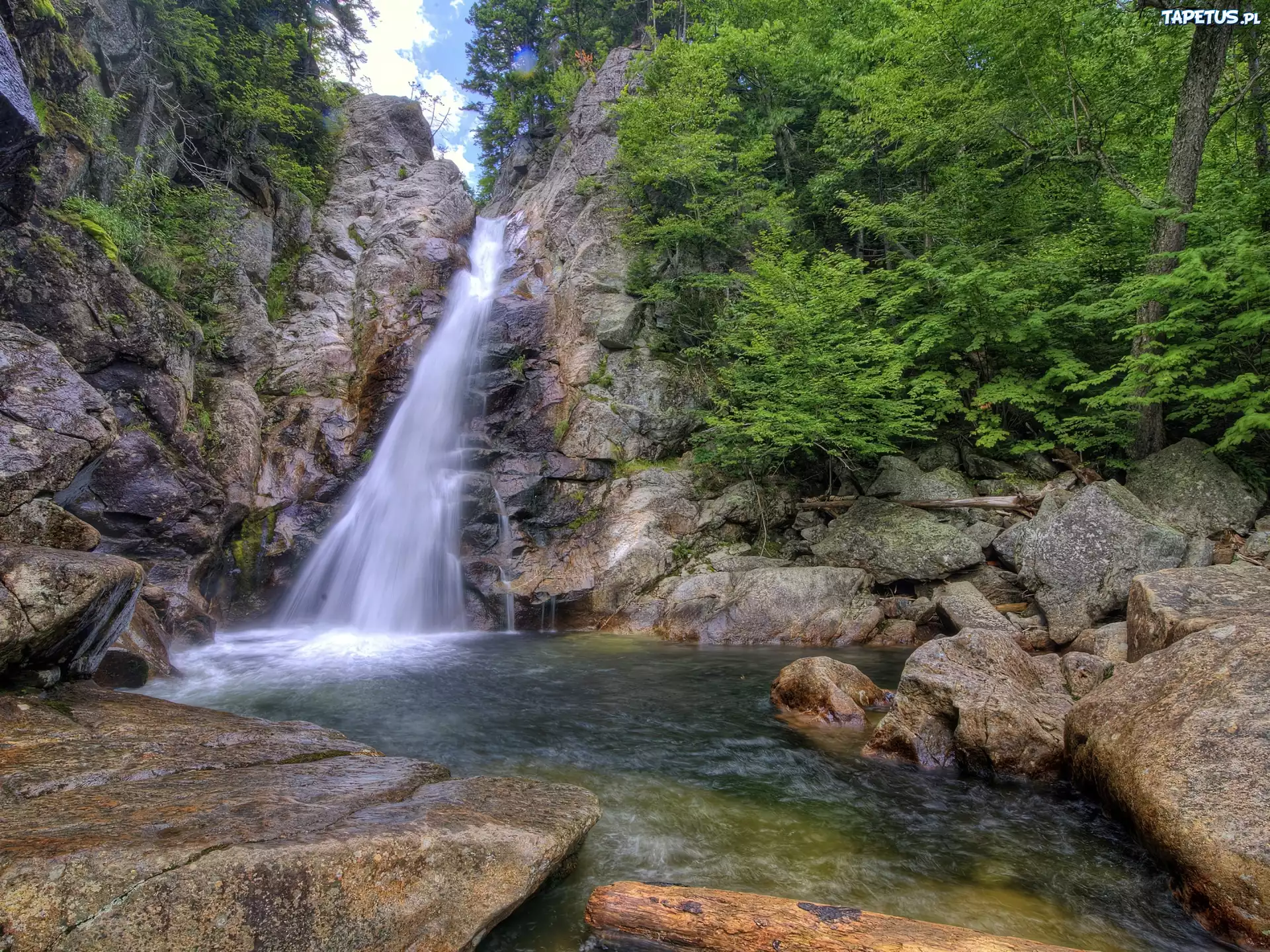 Wodospad, Kamienie, Drzewa, Krzewy