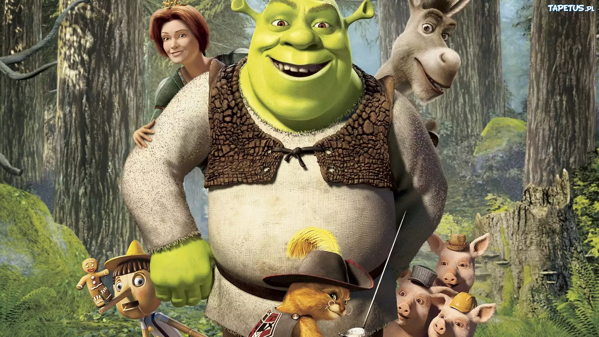 Shrek, Osioł, Fiona, Pinokio, Ciastek, Kot, Świnki, Las
