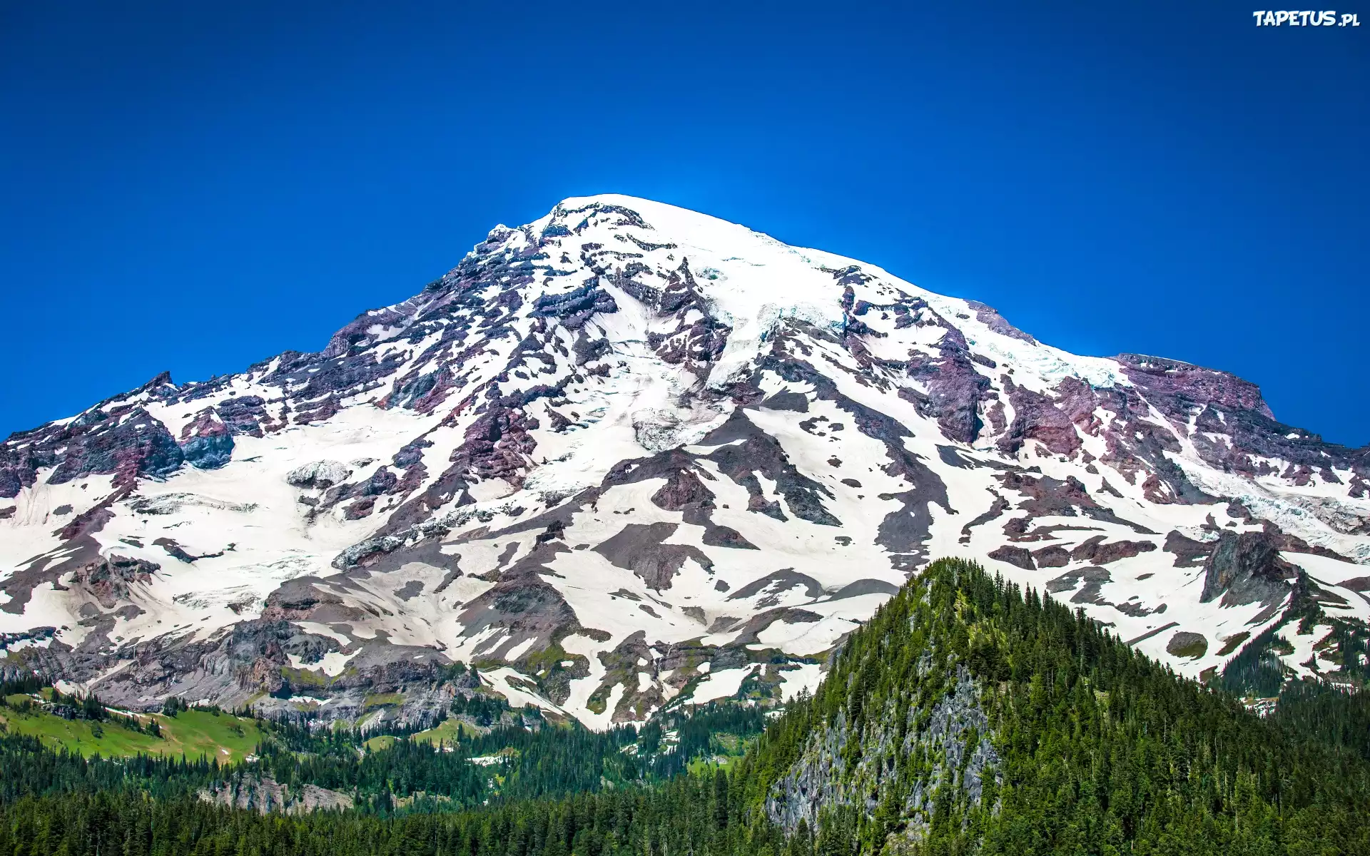 Wulkan, Mount Rainier, Góra, Lasy