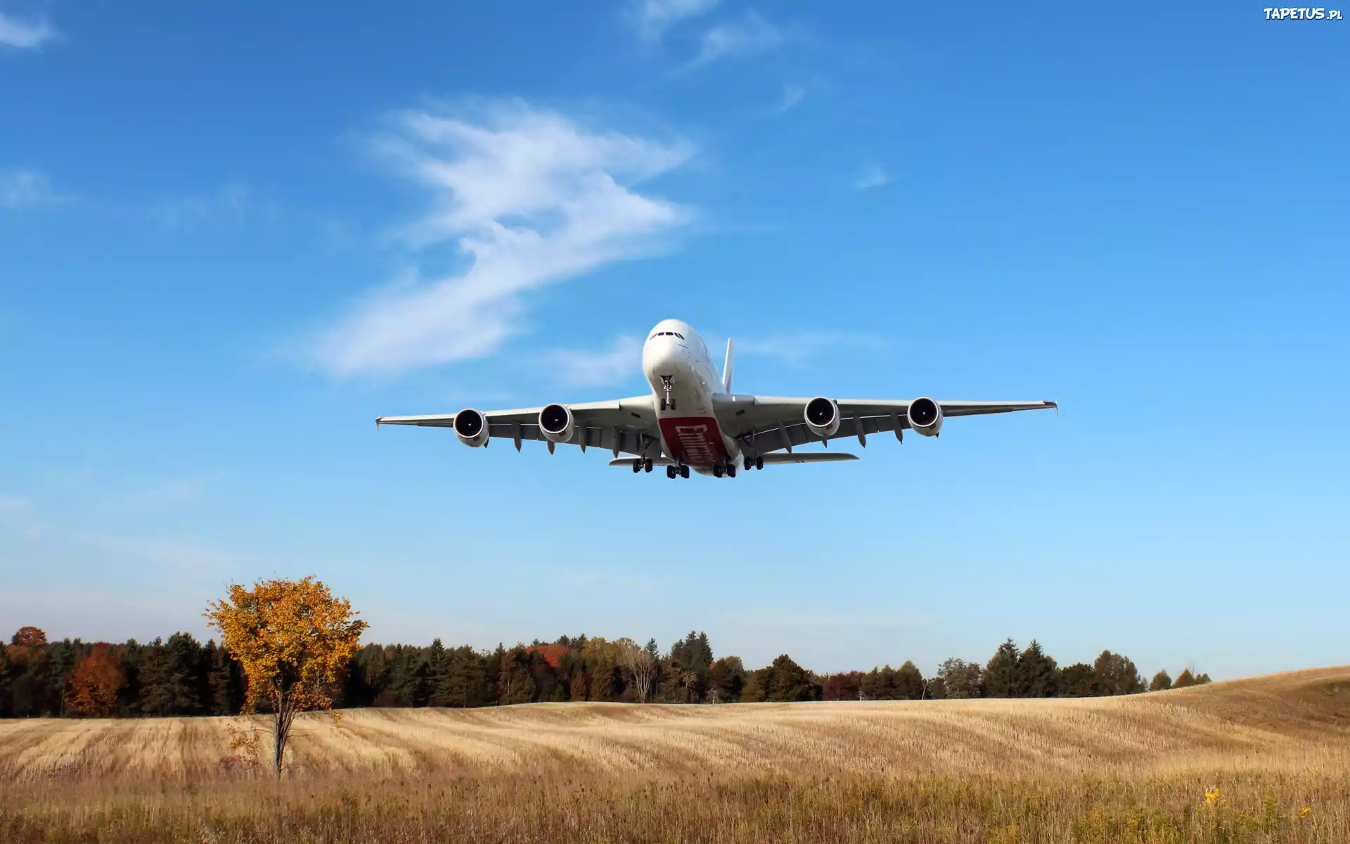 Samolot, Airbus A380, Łąka, Las