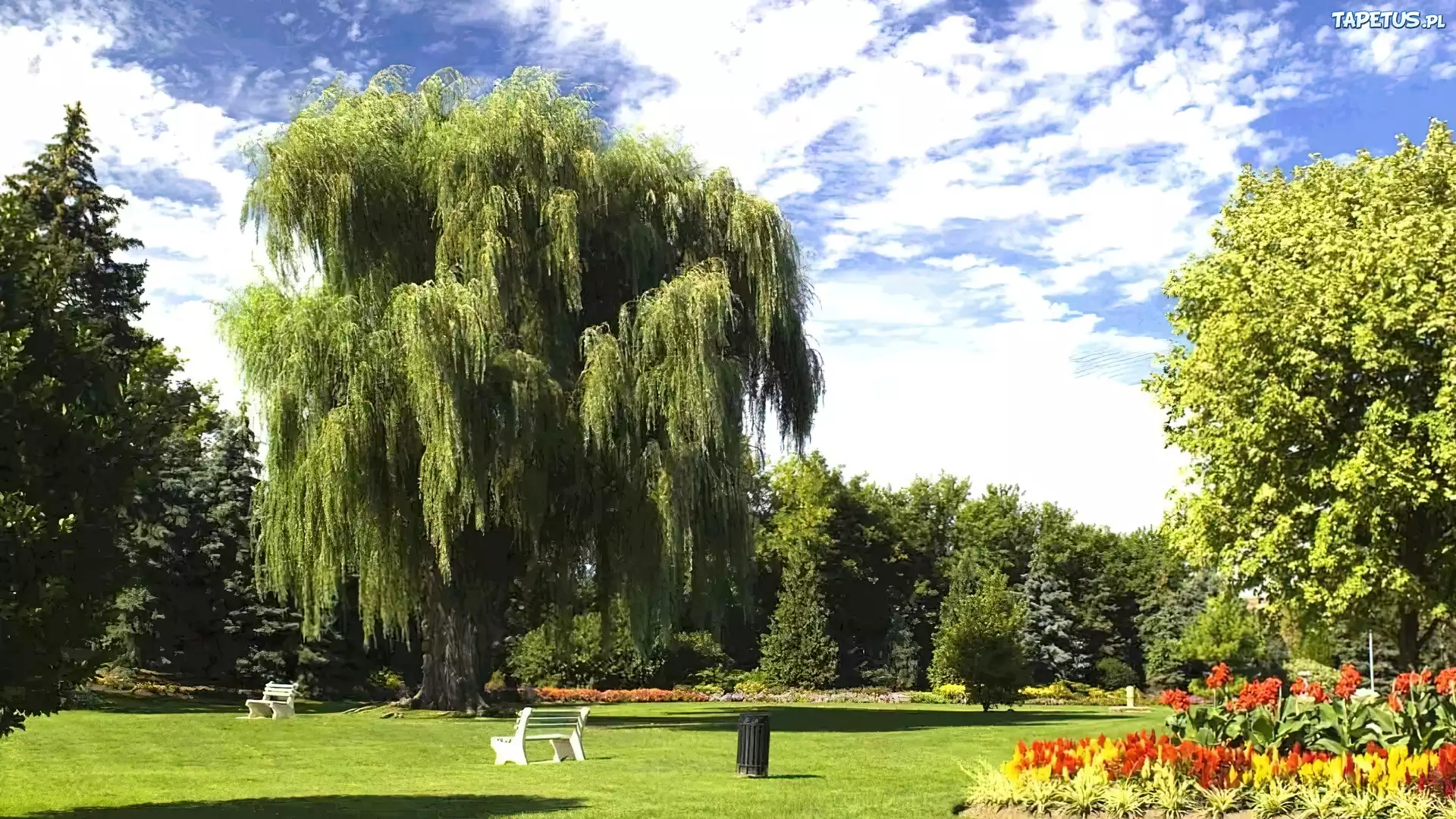 Park, Toronto, Kanada