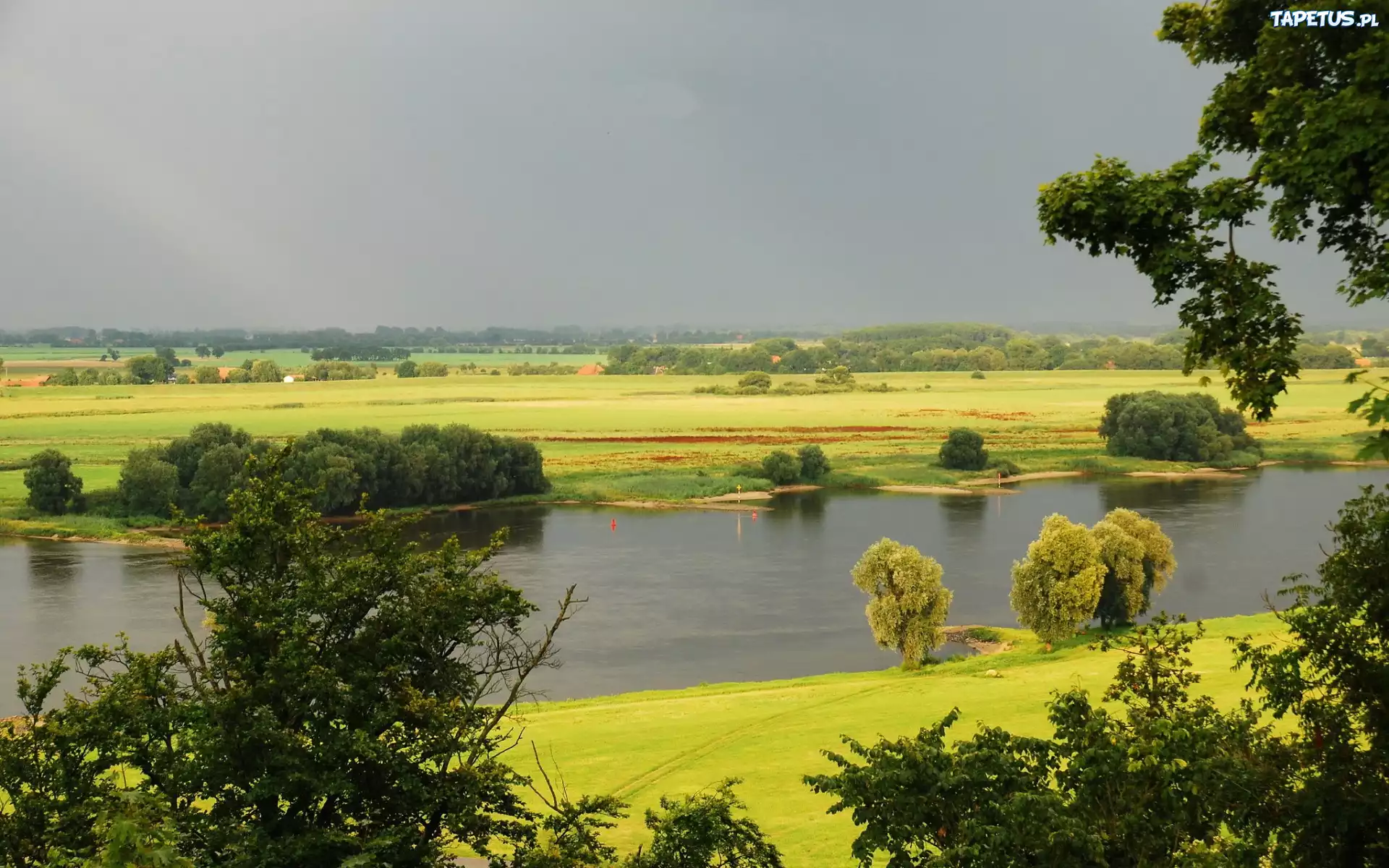 Rzeka, Łąki, Drzewa, Panorama