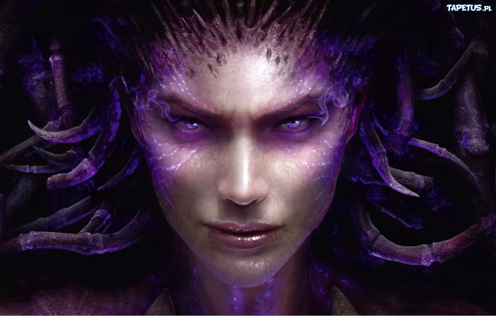 Starcraft 2:Heart Of The Swarm, Kerrigan
