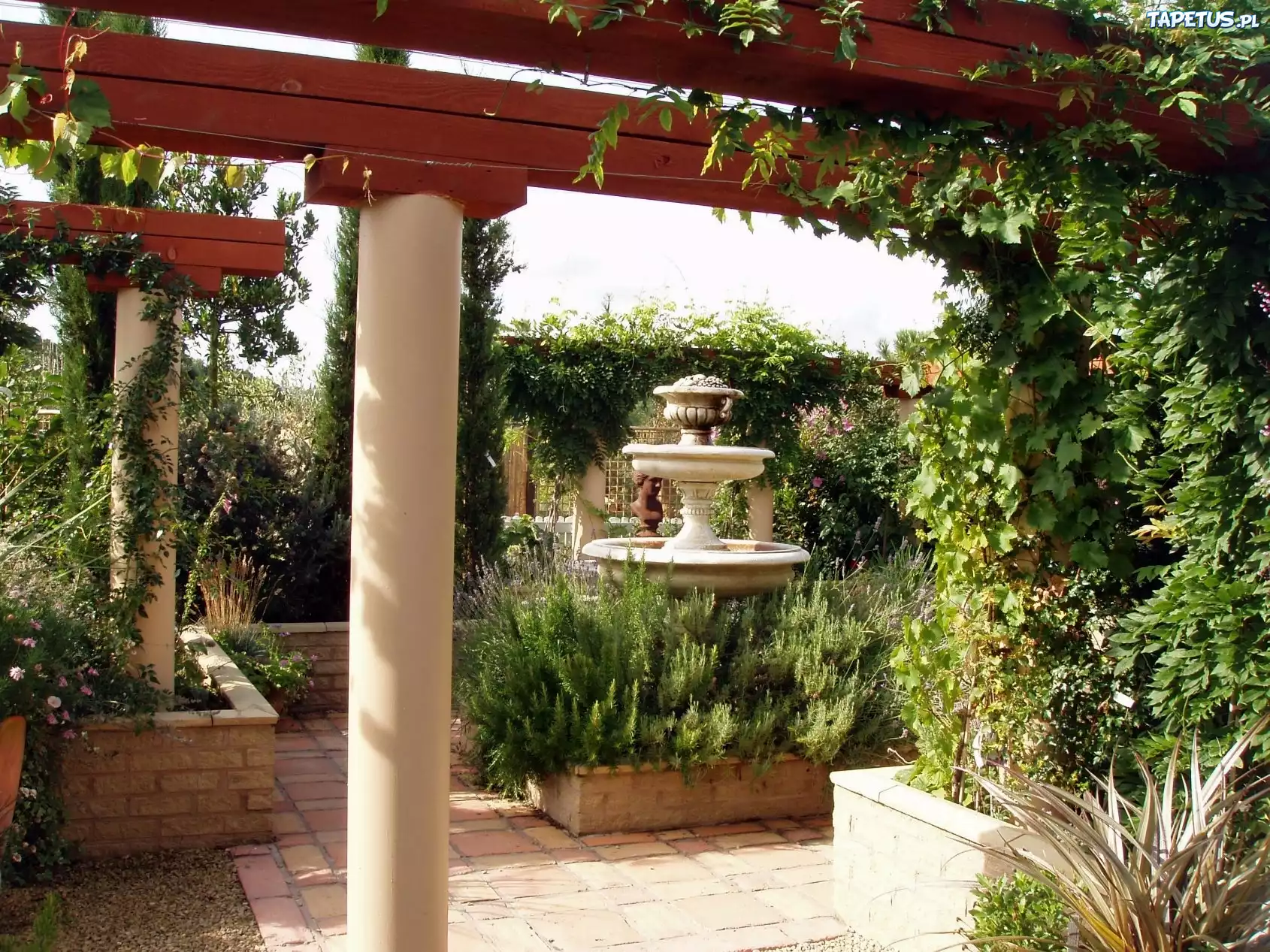 Ogród, Włoski, Pergola, Fontanna