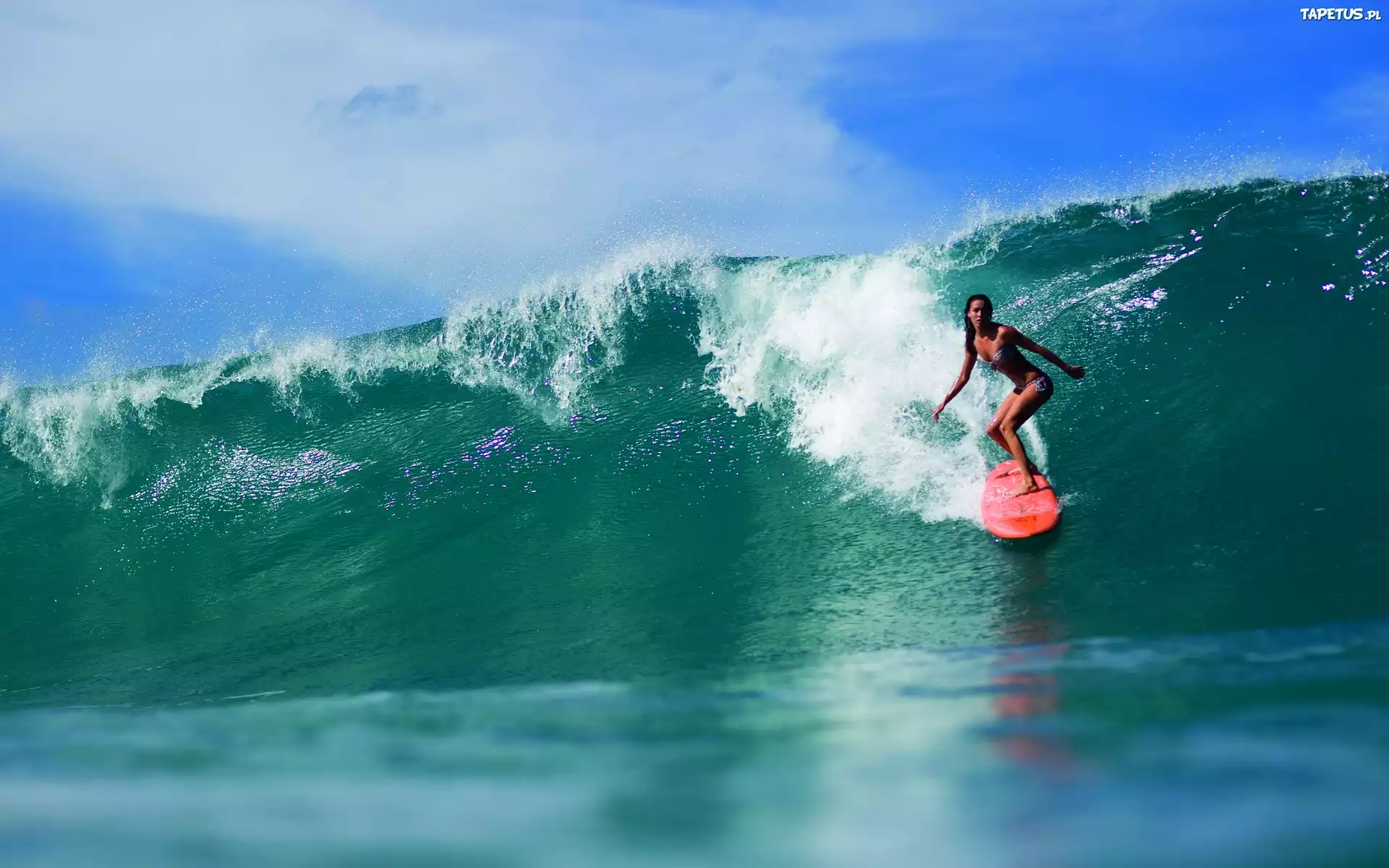 Kobieta, Surfing, Wysoka, Fala