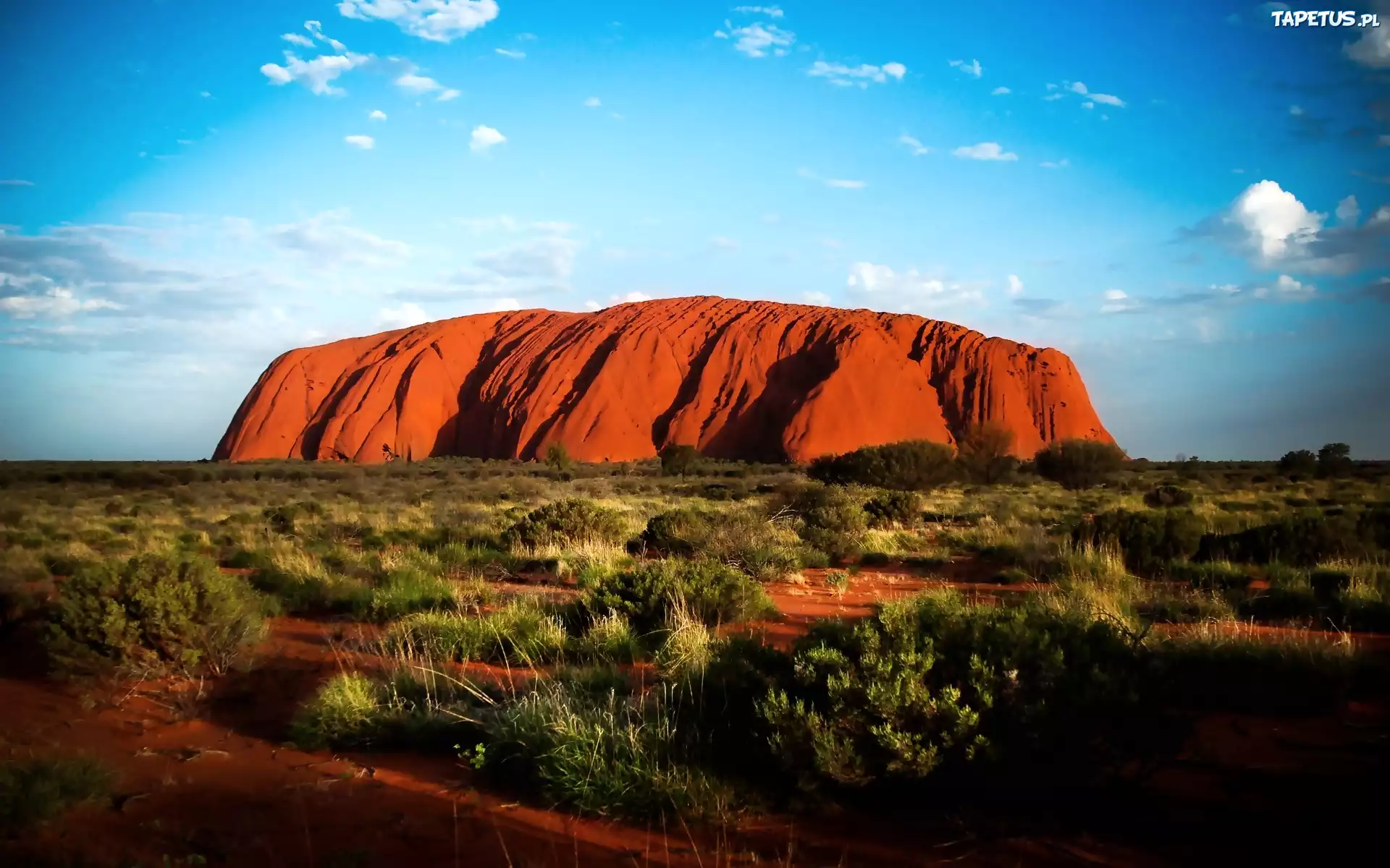Uluru, Czerwona, Skała, Skrub