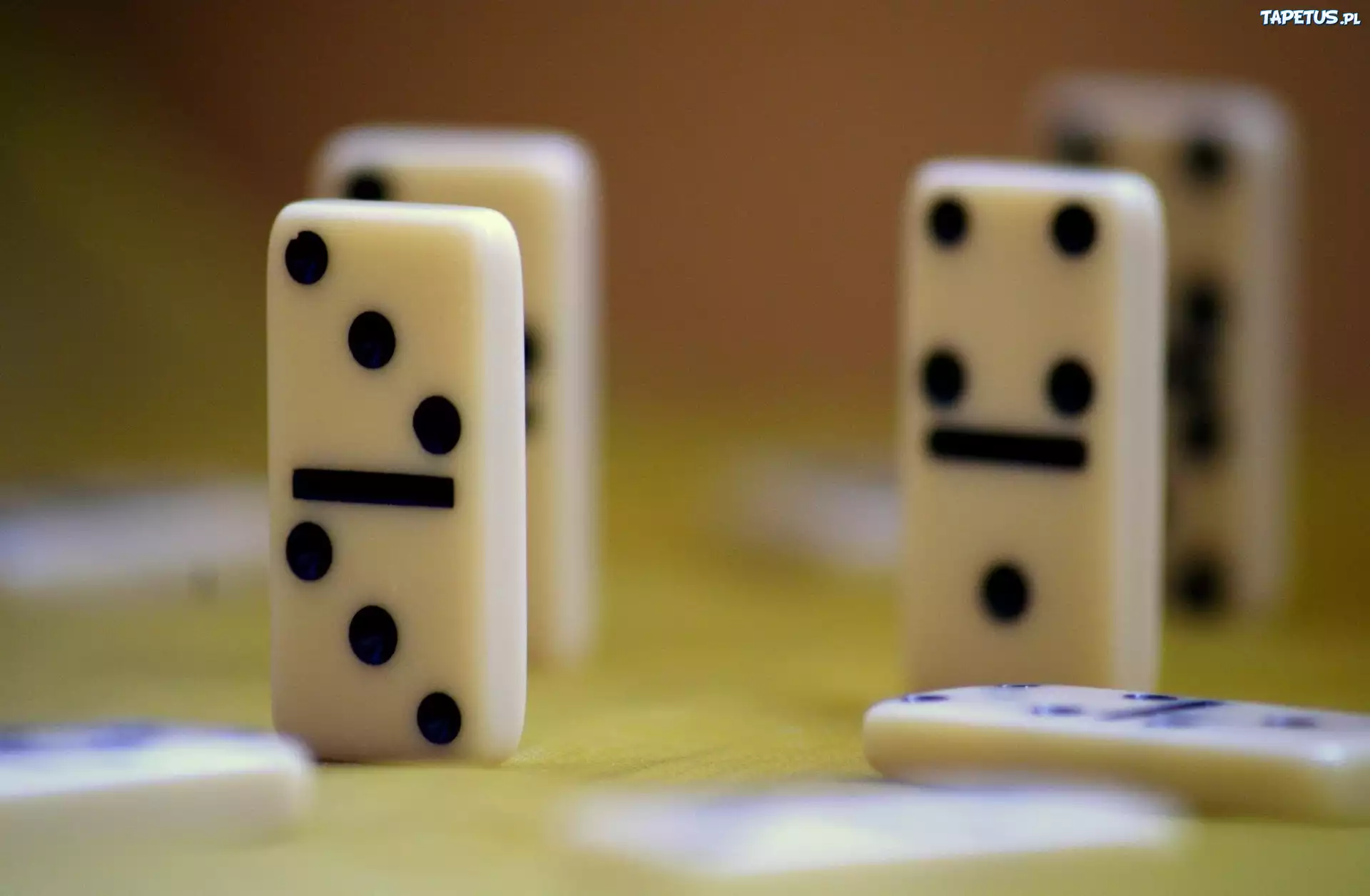 Domino, Brązowe, Tło