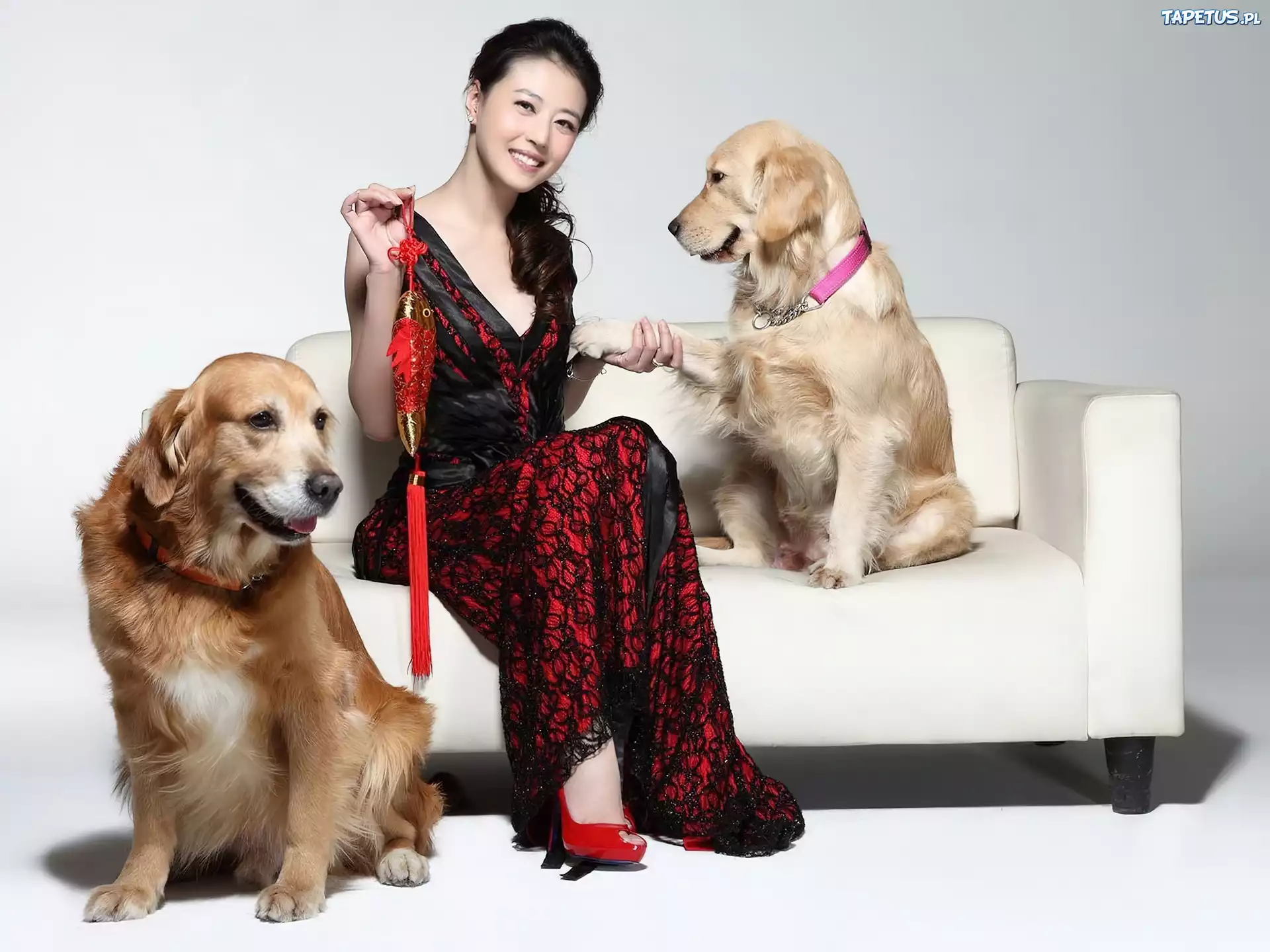 Собака женщиной живой. Женщина с собакой. Фотосессия с двумя собаками. Модная девушка с собакой. Собака с хозяйкой.