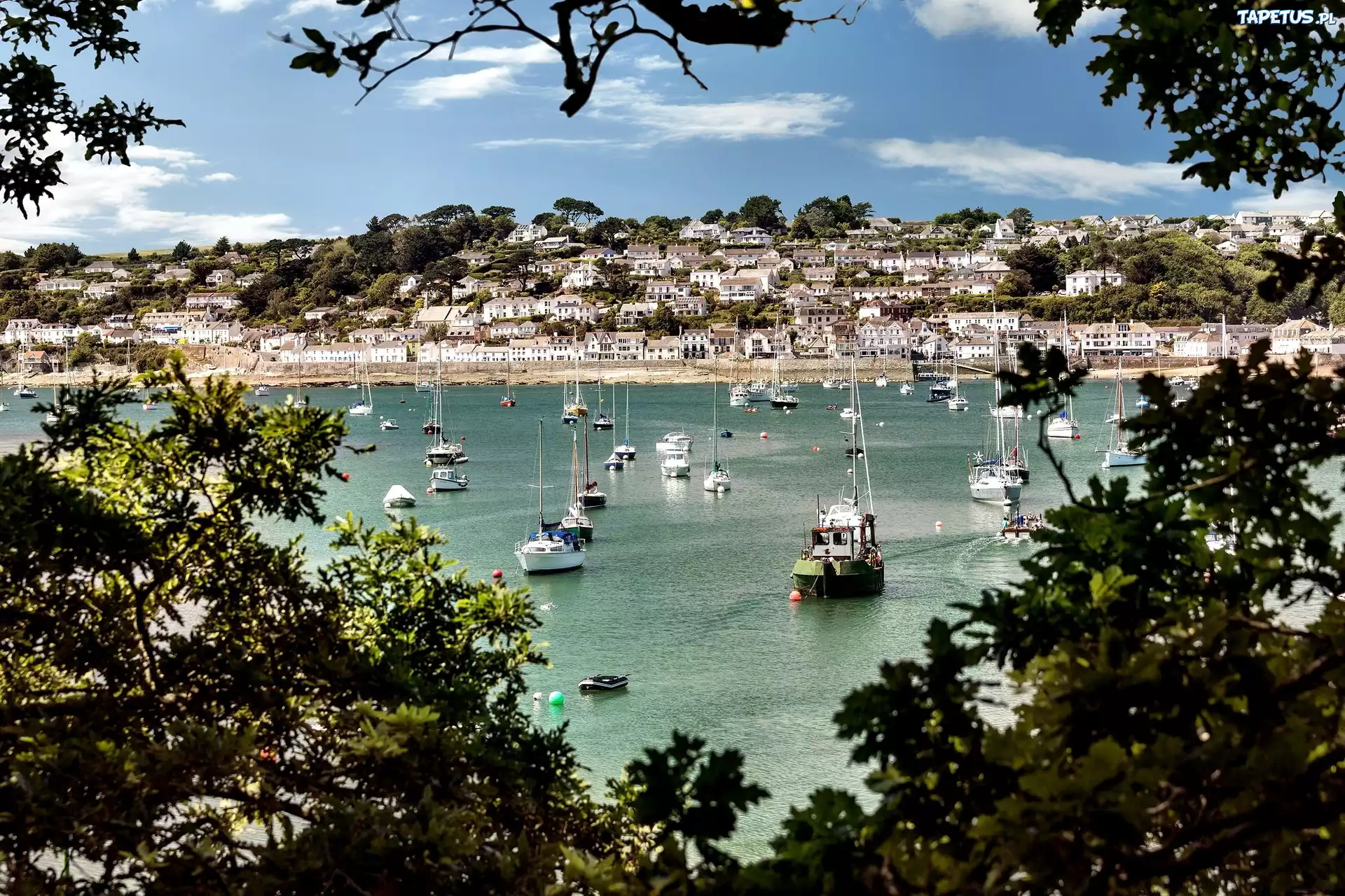 Jachty, Zatoka, Miasteczko St Mawes, Kornwalia, Anglia