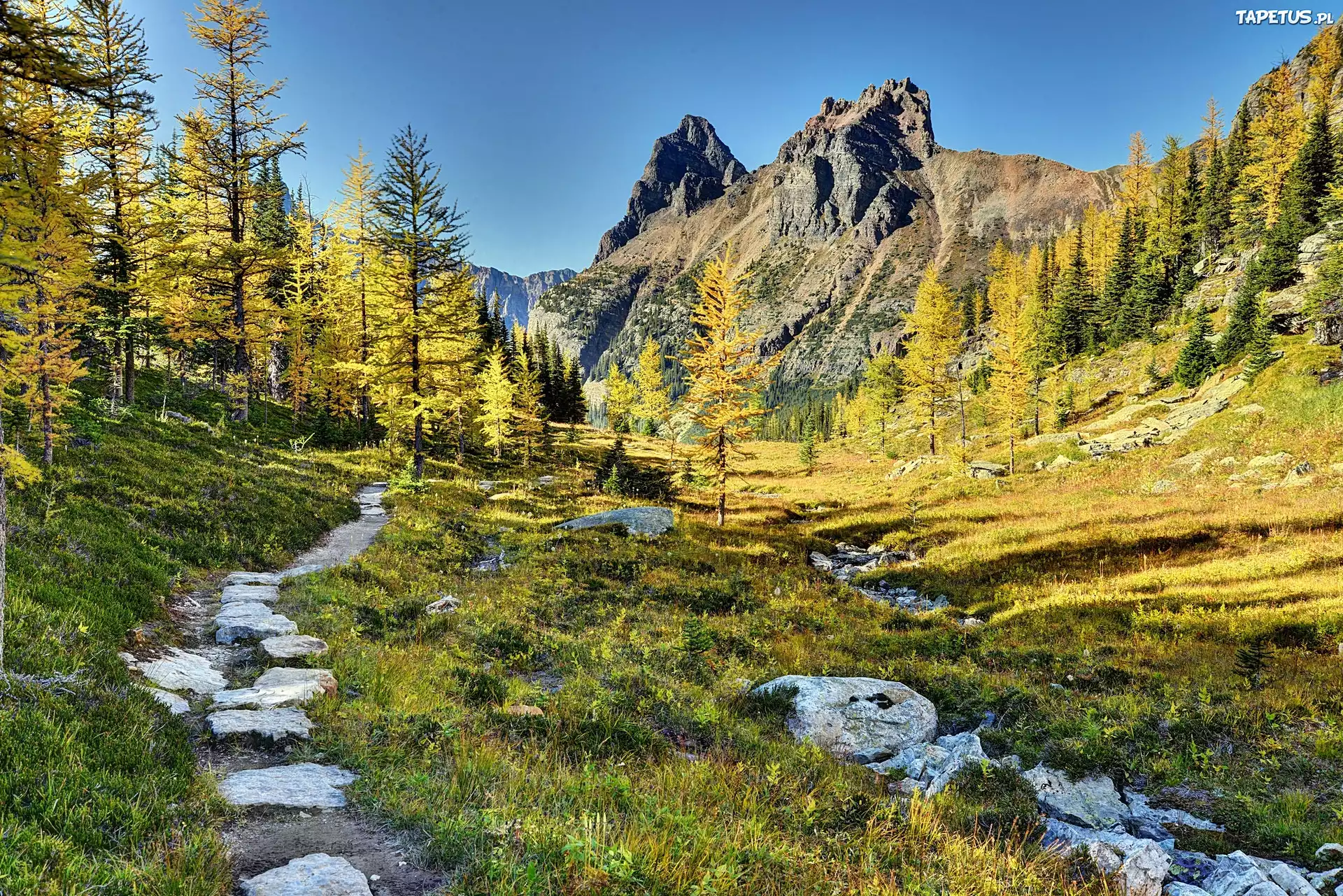 Yoho National Park, British Columbia, Canada скачать