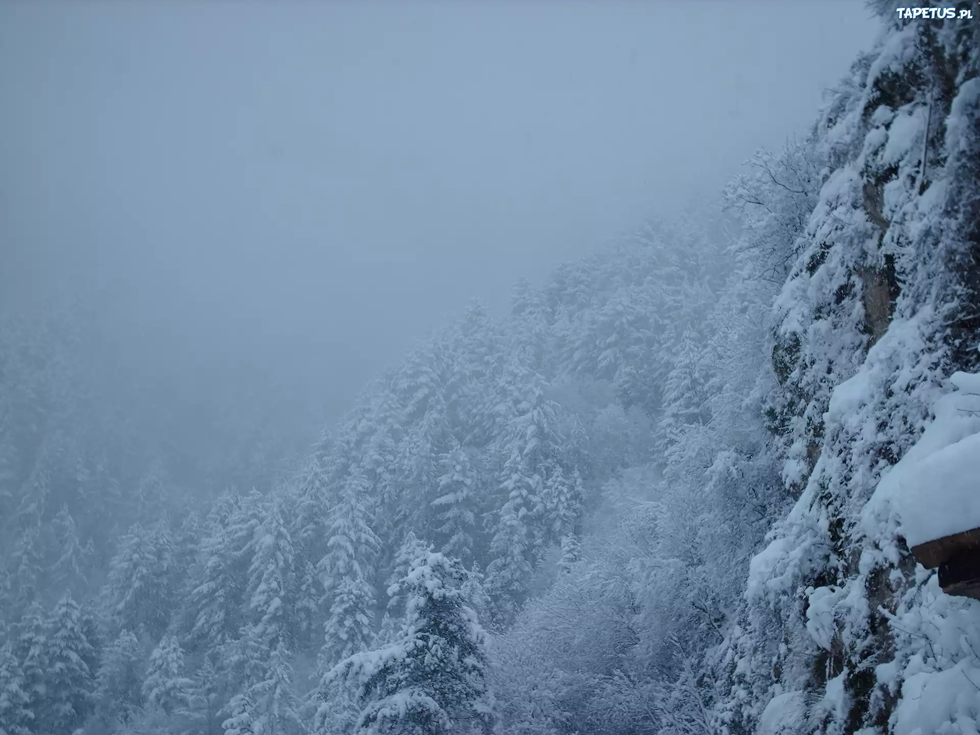 Śnieg, Drzewa, Góry