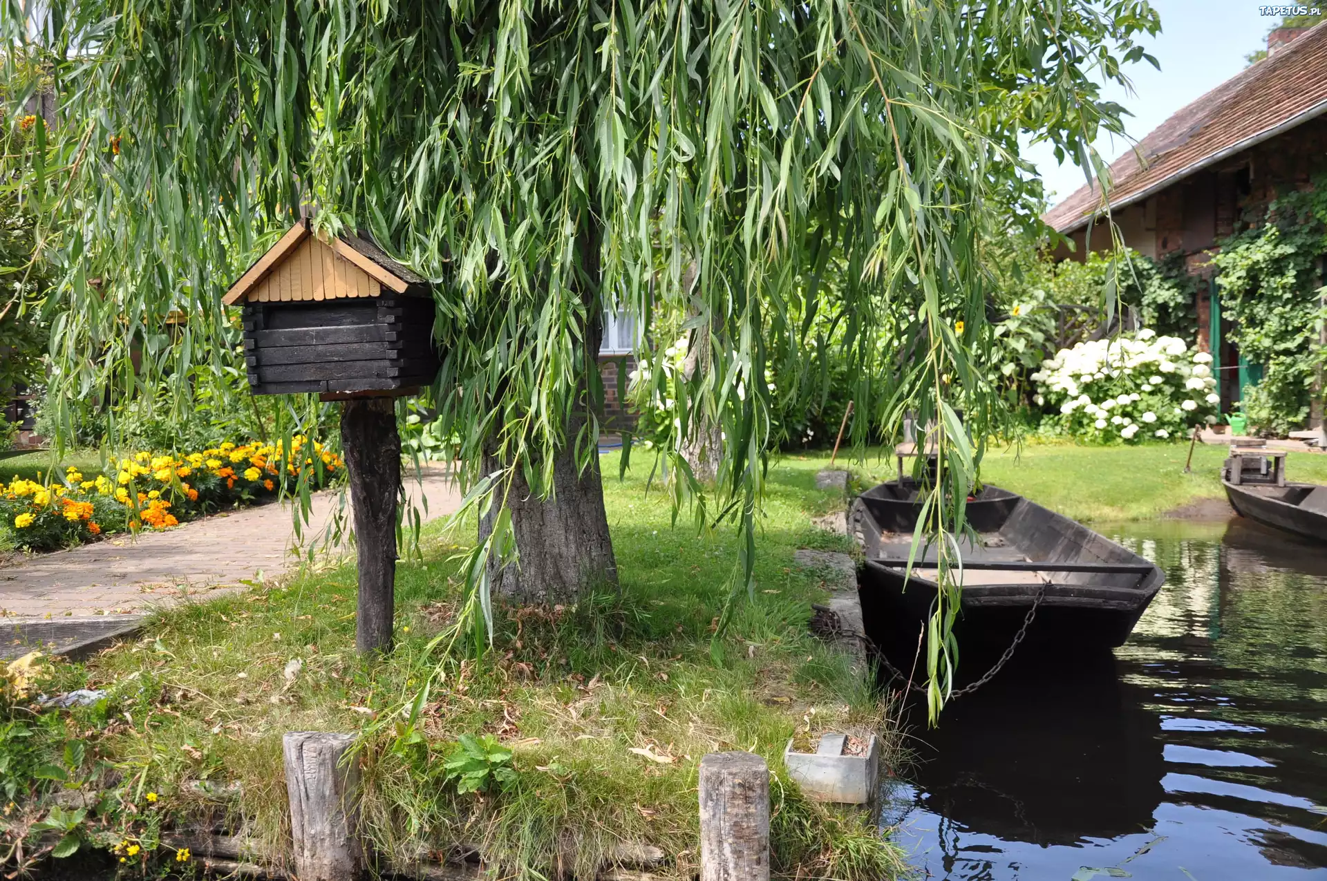 Park, Drzewa, Kwiaty, Jezioro, Przystań, Łodzie, Domy