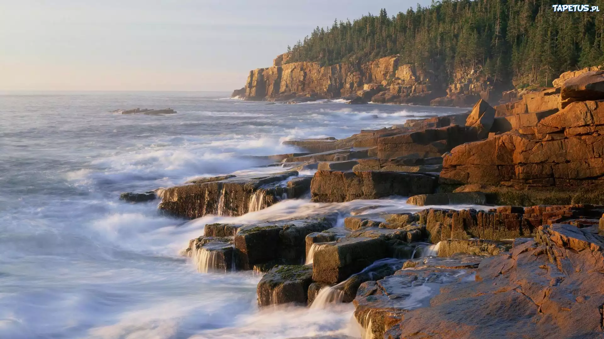 Morze, Klify, Acadia, Maine
