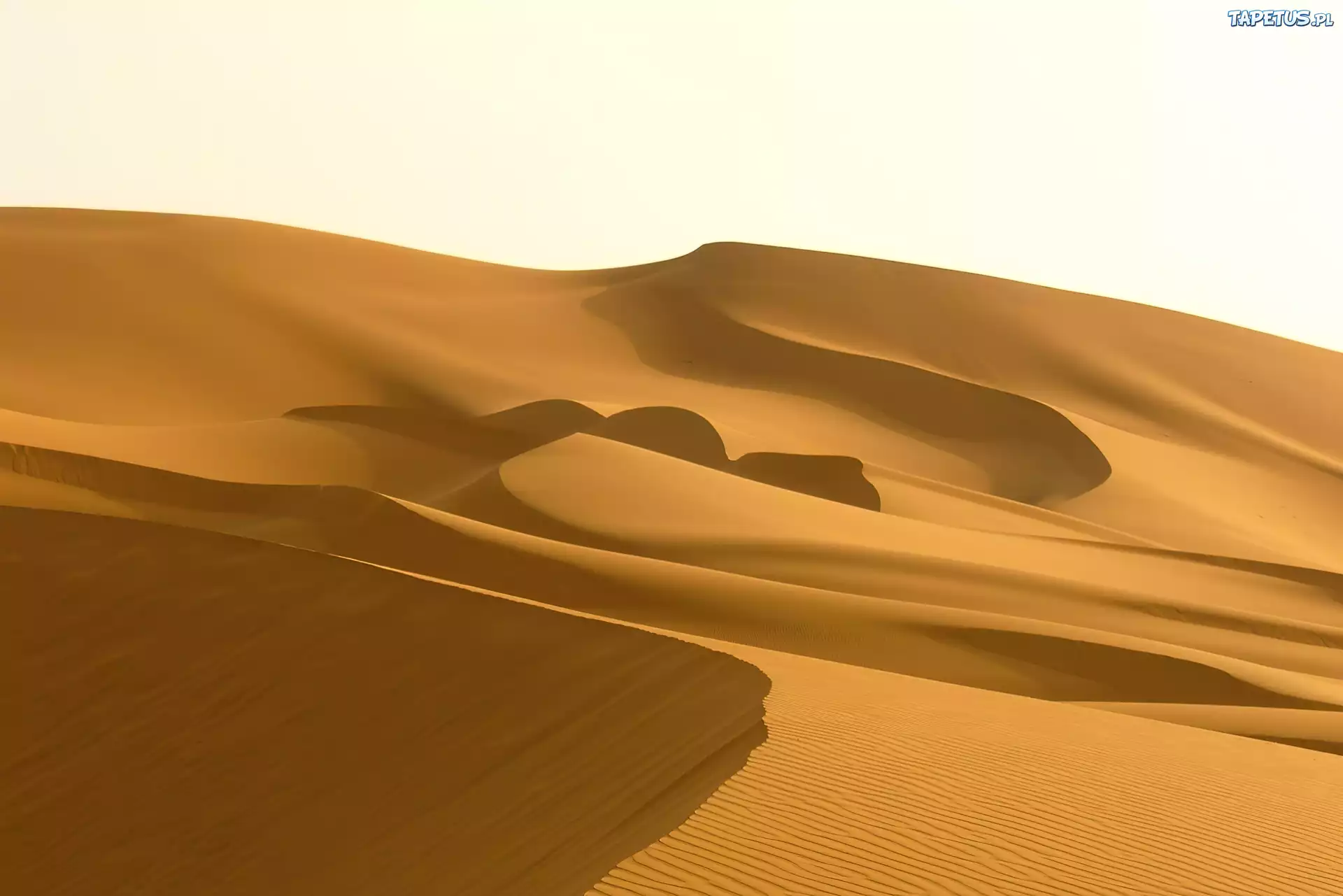 Дюна интересные факты. Пустыня сахара Барханы. Сахара Сэндс. Эль ХАМРА пустыня. Бескрайняя пустыня.