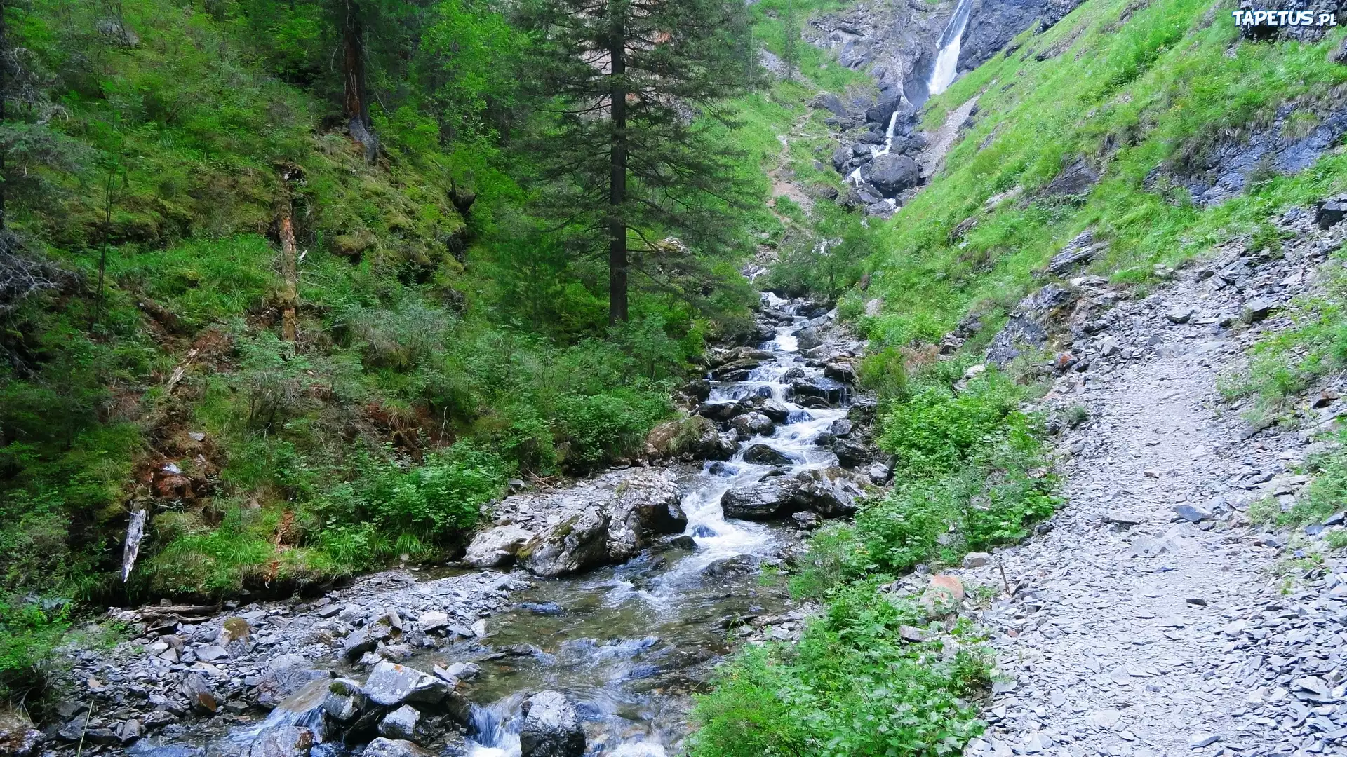 Górski, Potok, Lasy, Kamienie