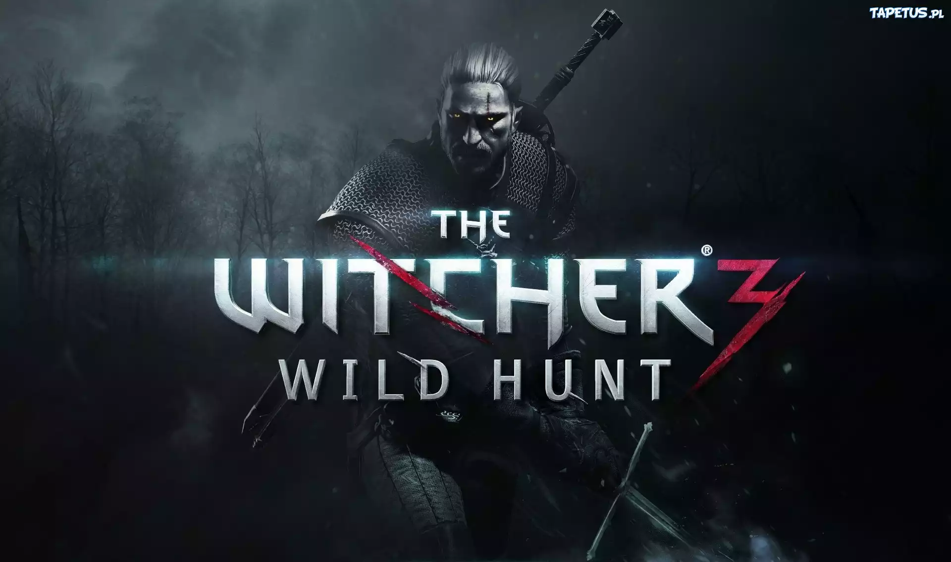 Wiedźmin 3:Dziki Gon, Geralt