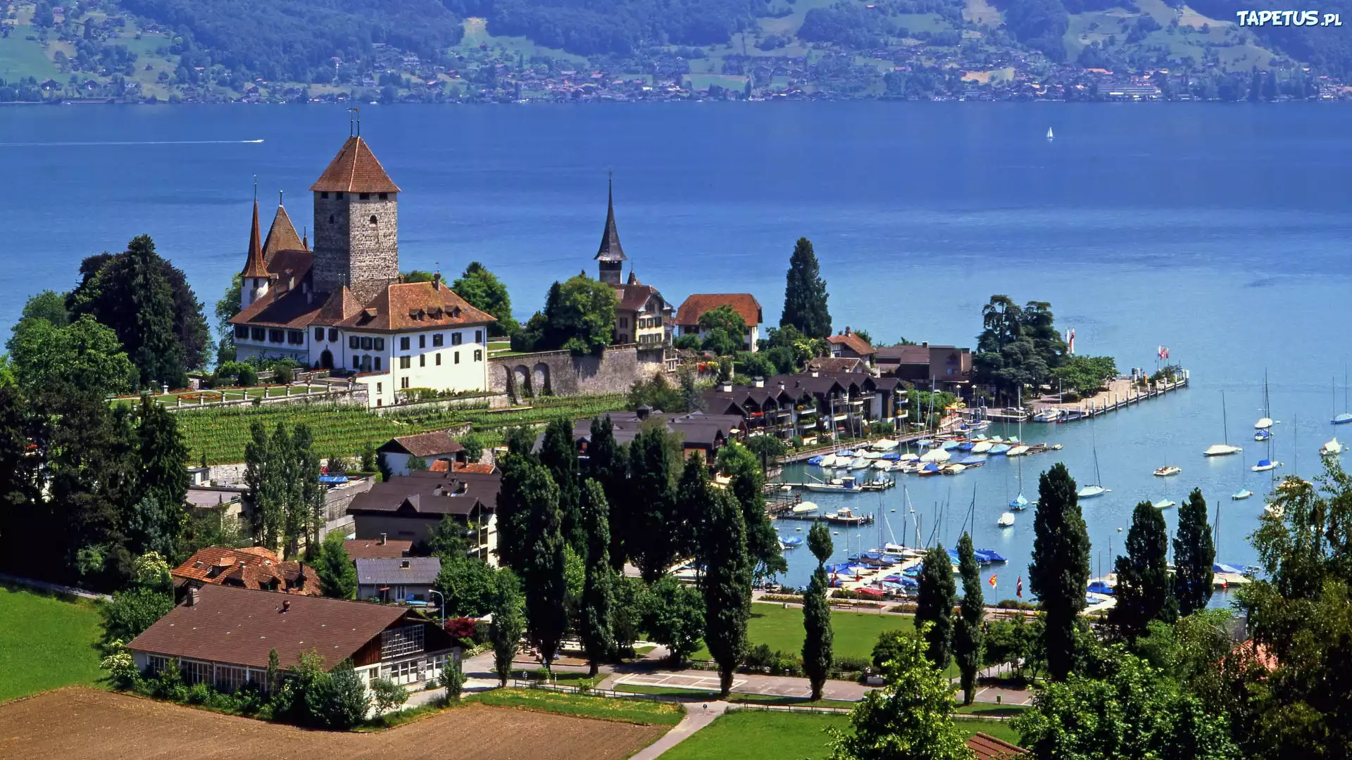 Zamek, Spiez, Jezioro, Thun, Szwajcaria