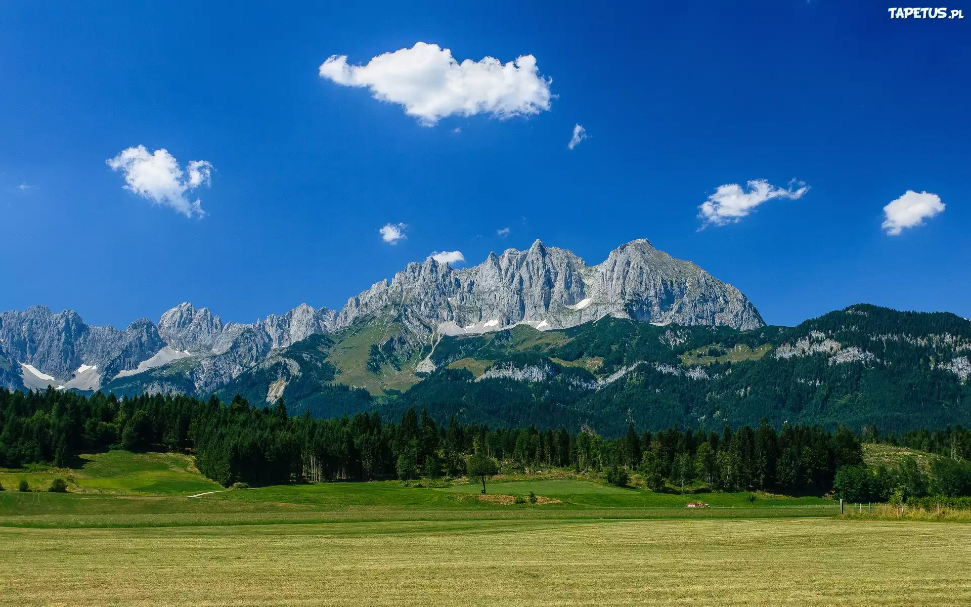 Góry, Lasy, Pola, Łąki