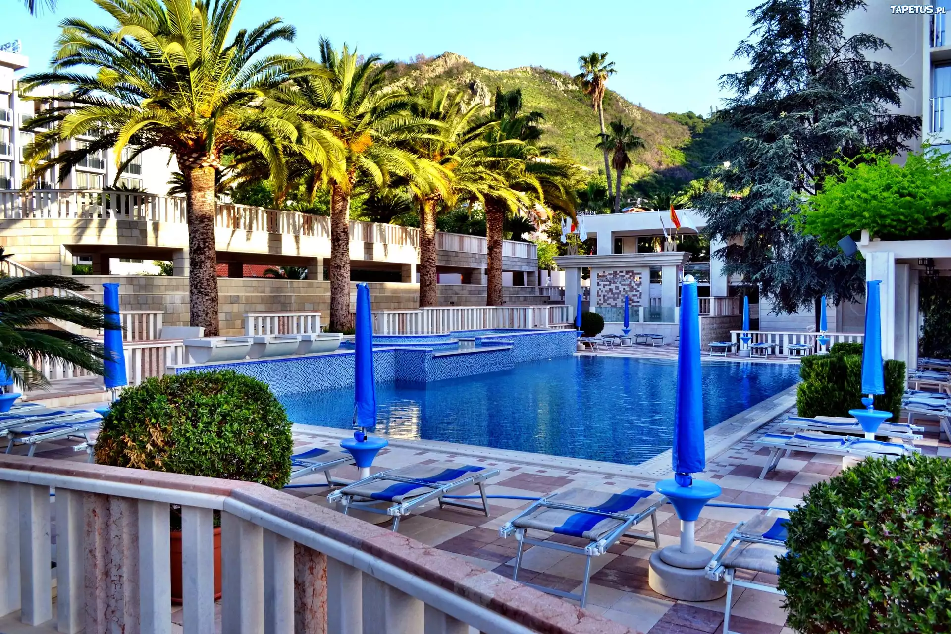Hotel, Basen, Palmy, Tropik
