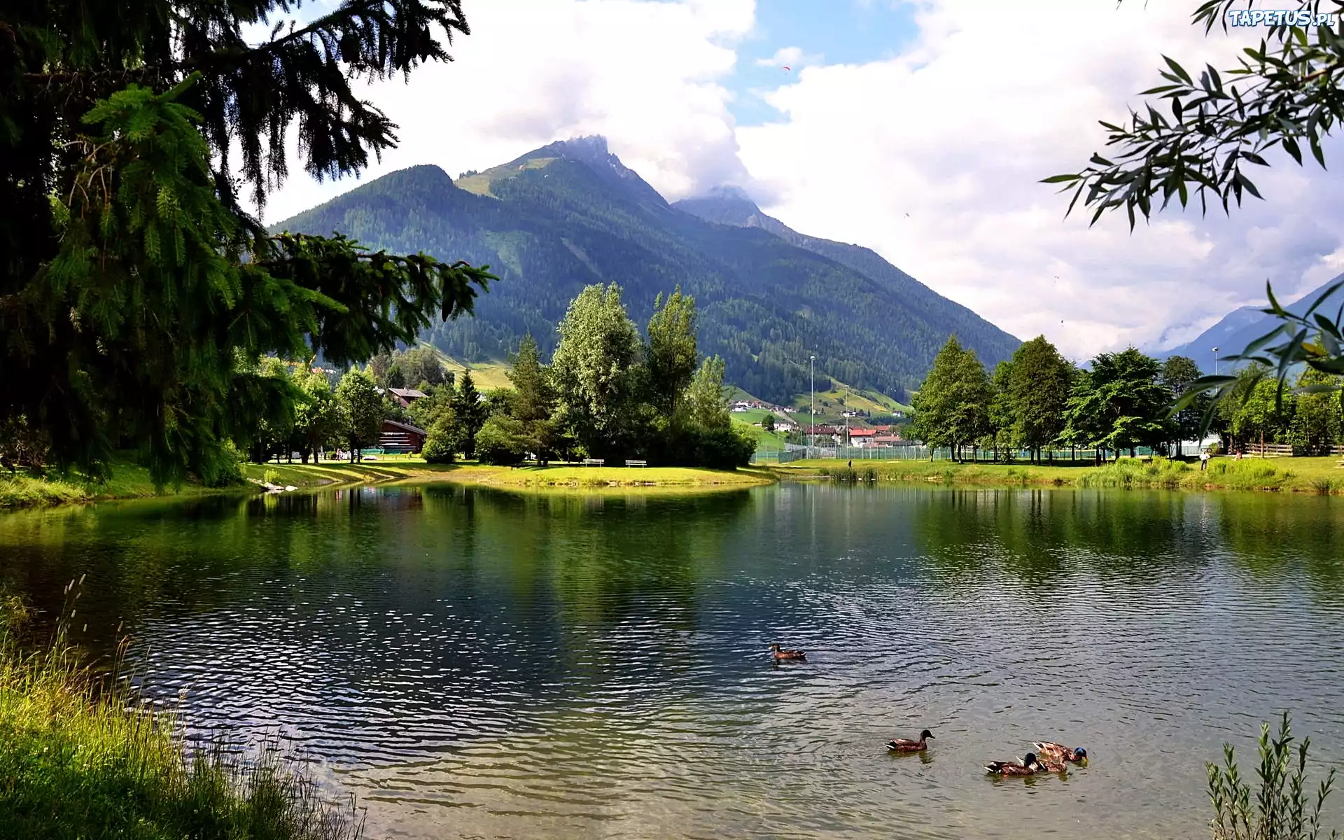 Jezioro, Góry, Alpy, Austria