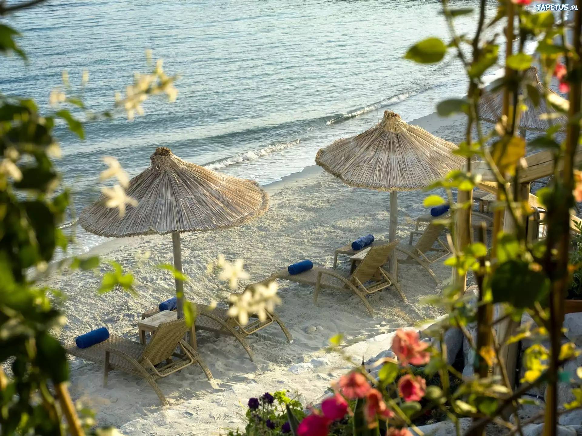 Plaża, Morze, Leżaki, Parasole
