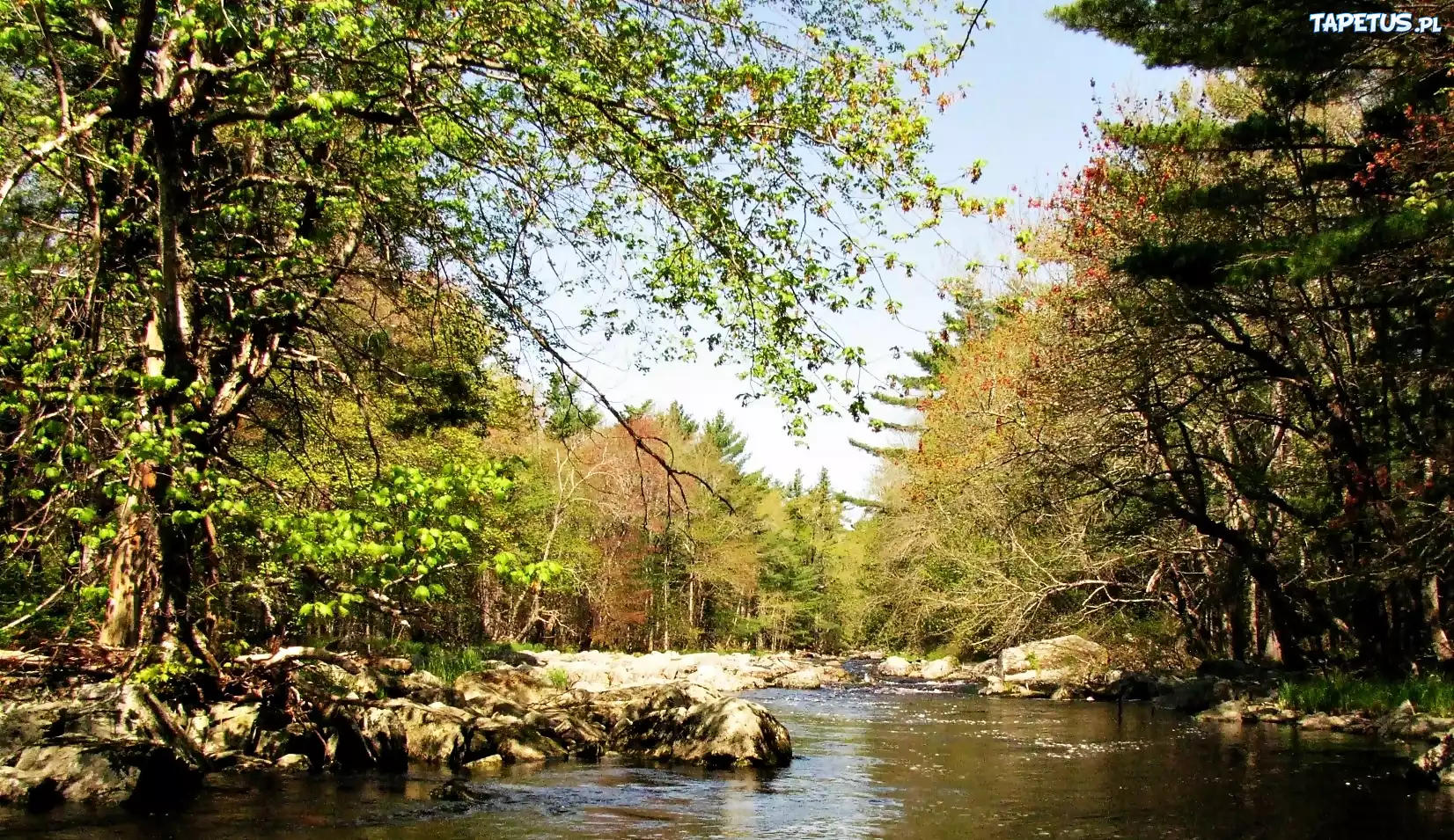 Nowa, Szkocja, Park, Narodowy, Kejimkujik