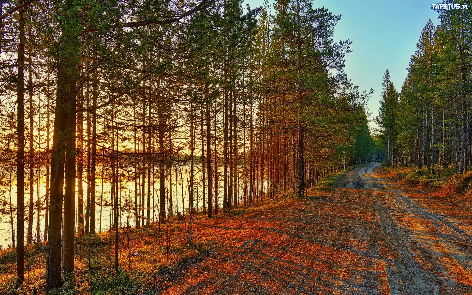 Droga, Drzewa, Jezioro, Jesień