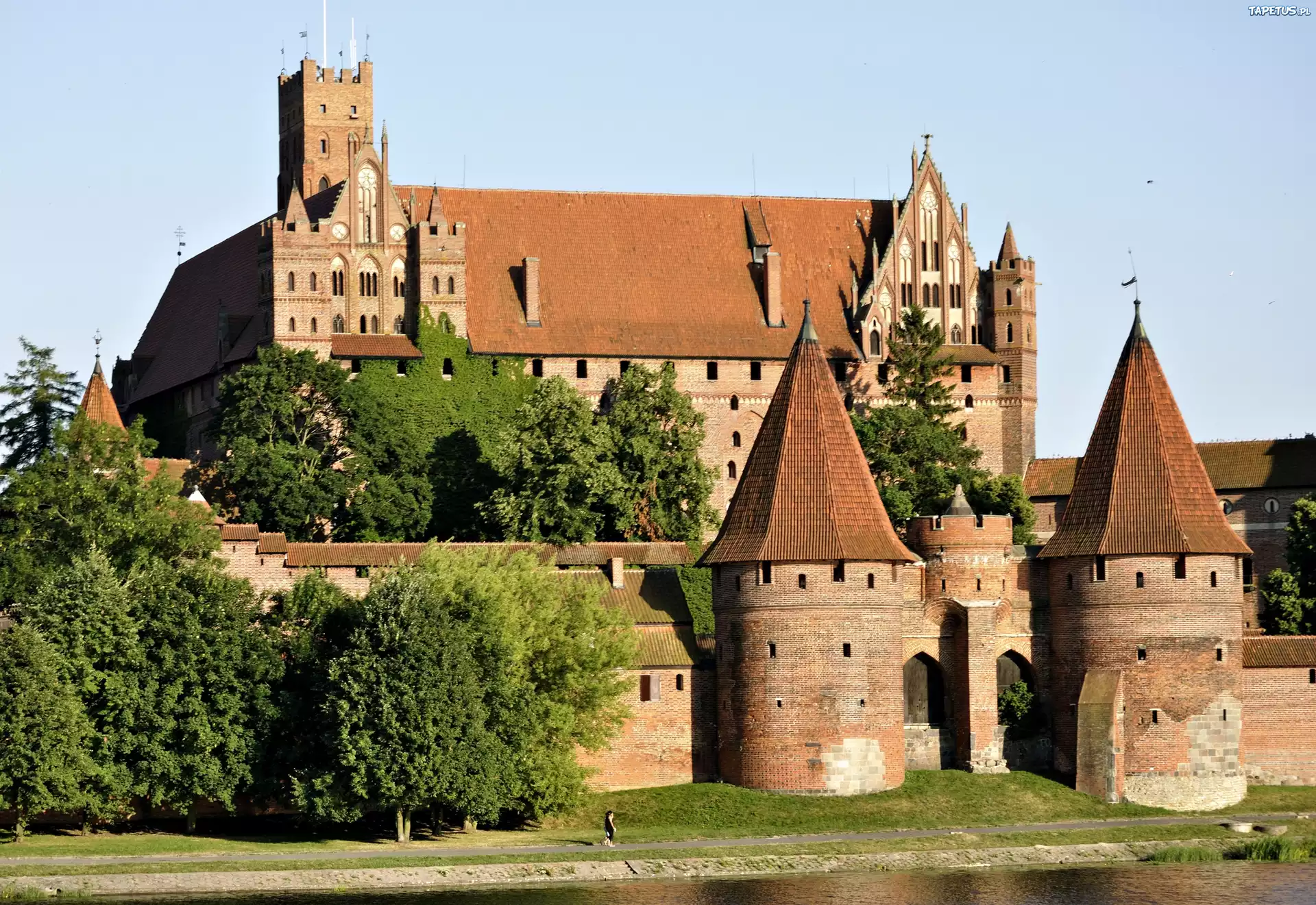 Zamek, W Malborku