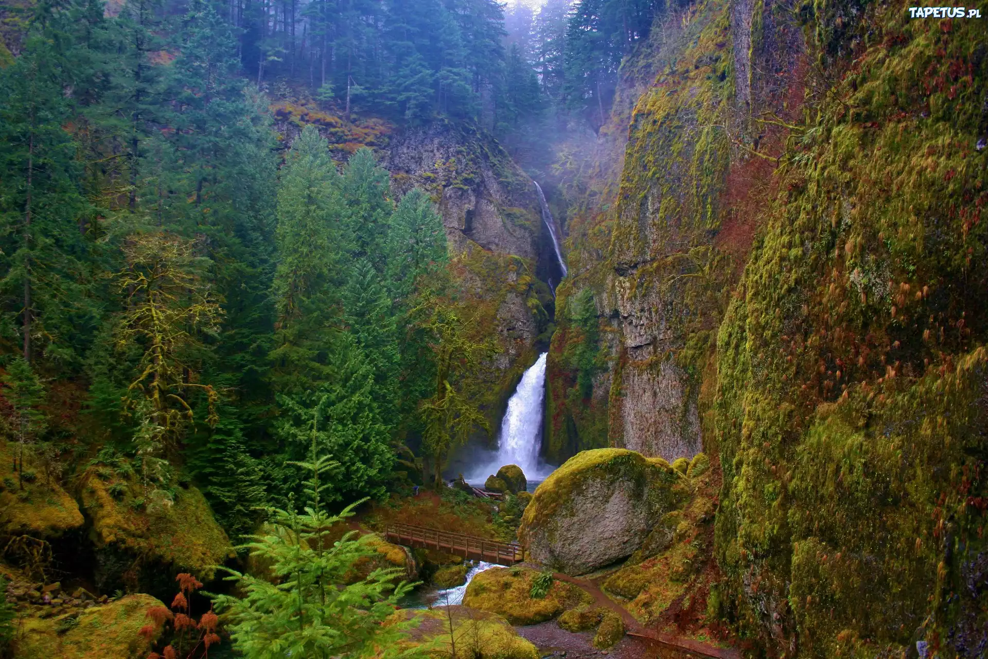 Wodospad, Skały, Las, Wahclella, Oregon
