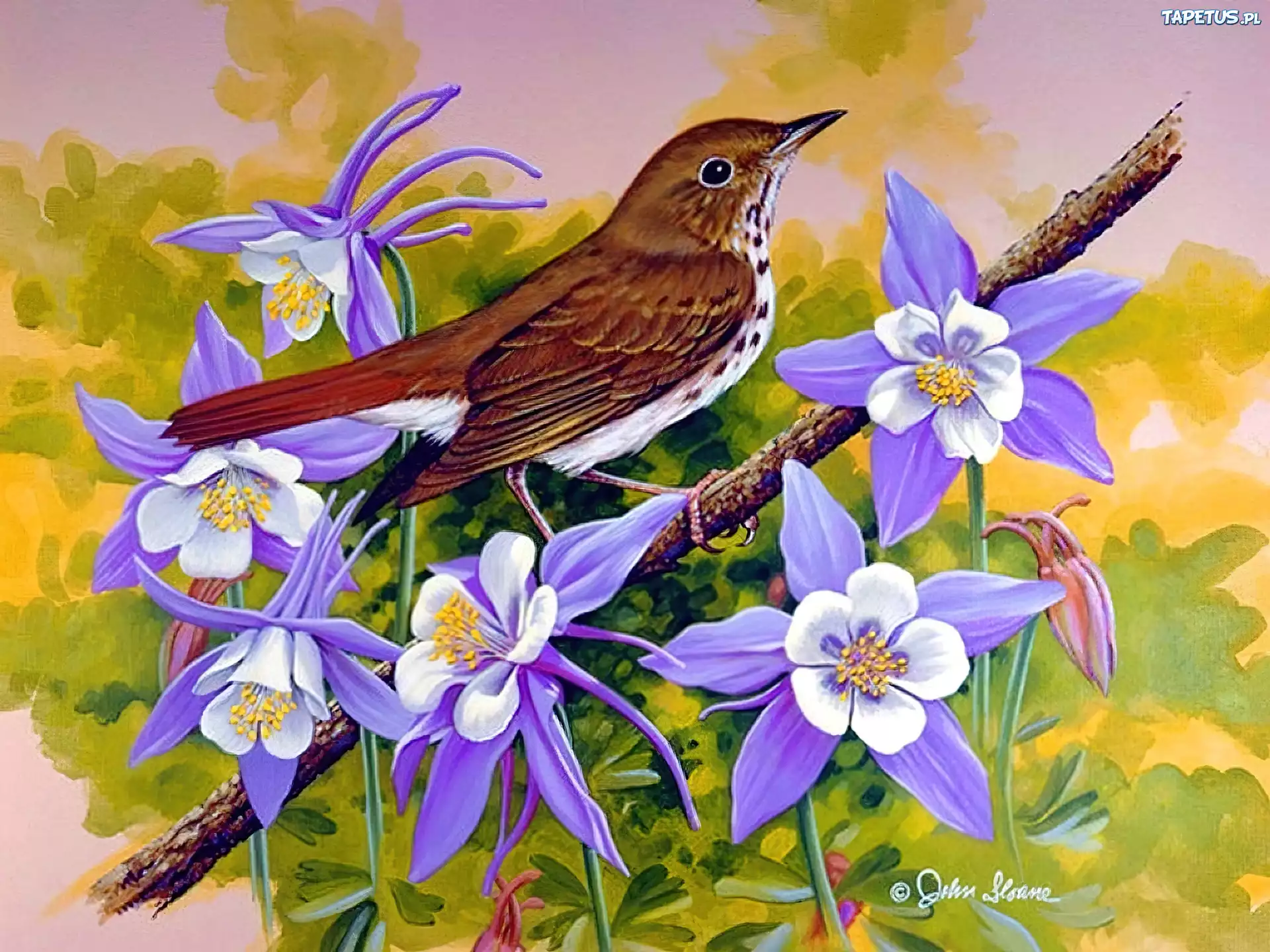 Весенние птицы рисунок. Джон Слоан цветы. Джон френч Слоан художник птички. Птицы в цветах в живописи.