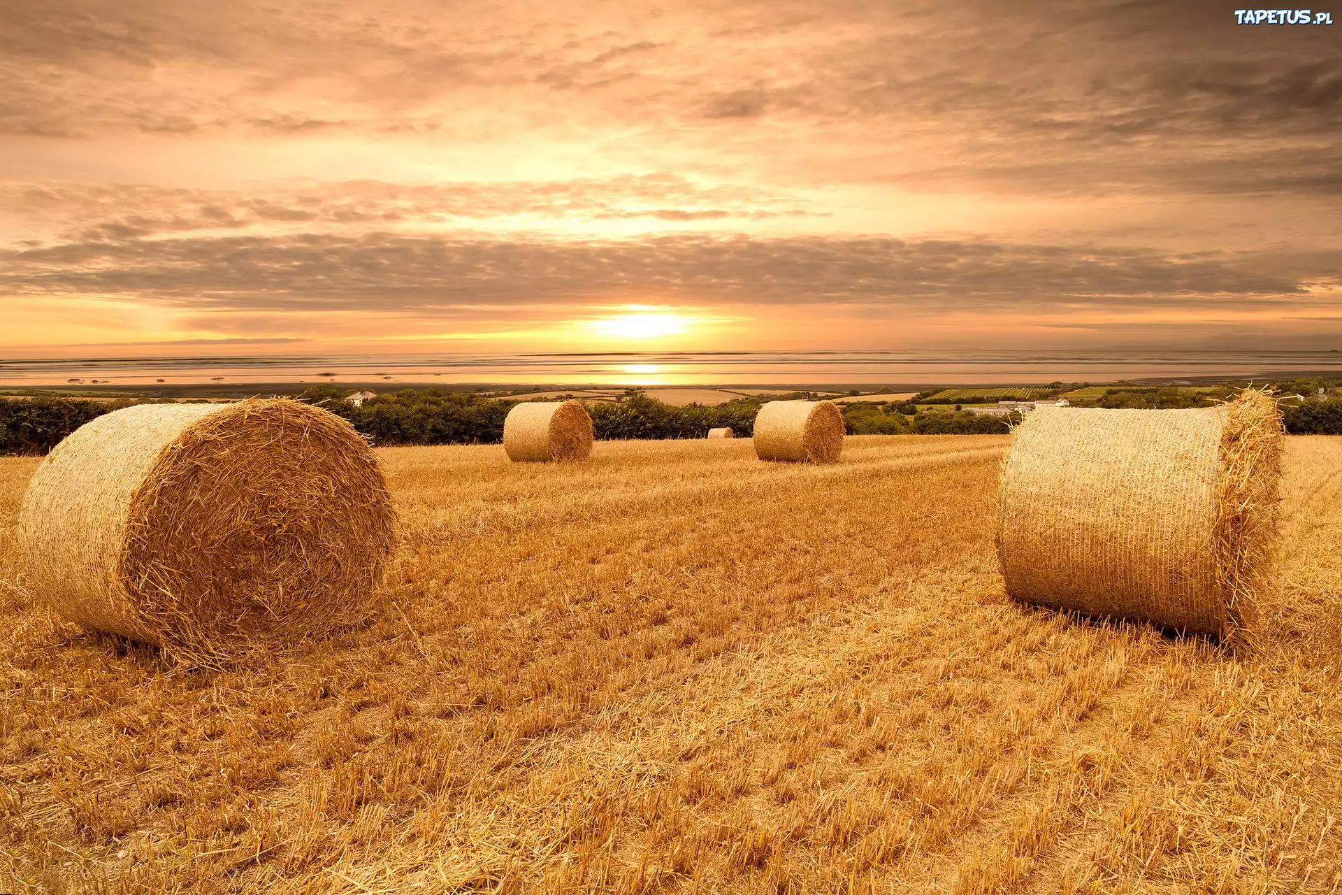 солома поле небо облака straw field the sky clouds скачать