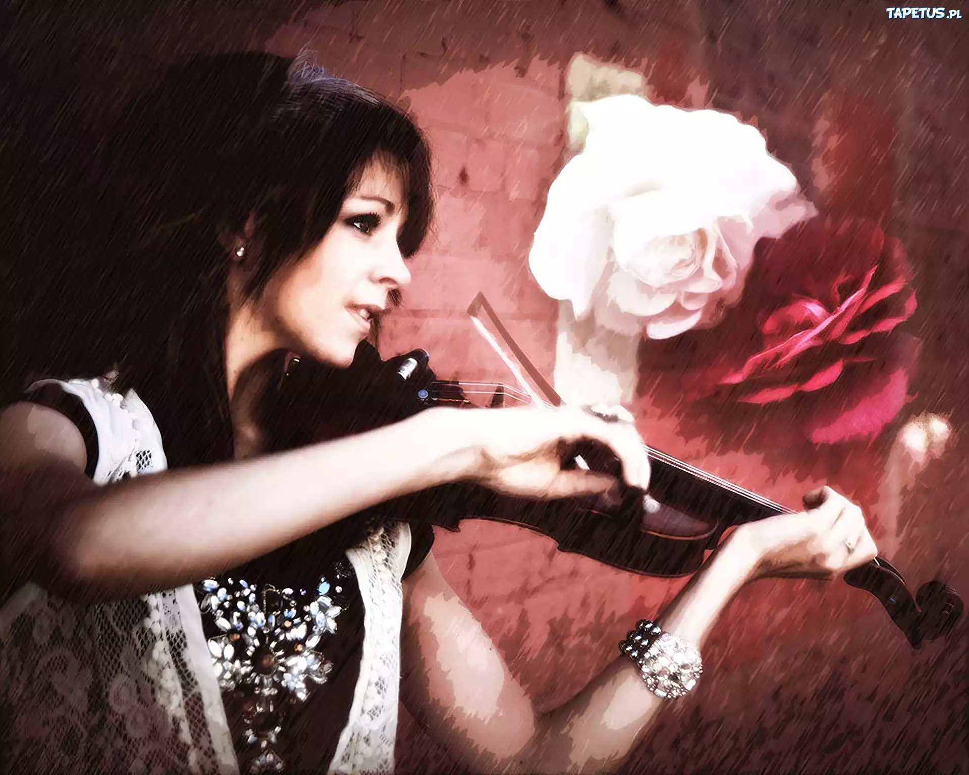Lindsey Stirling, Skrzypce, Kwiaty