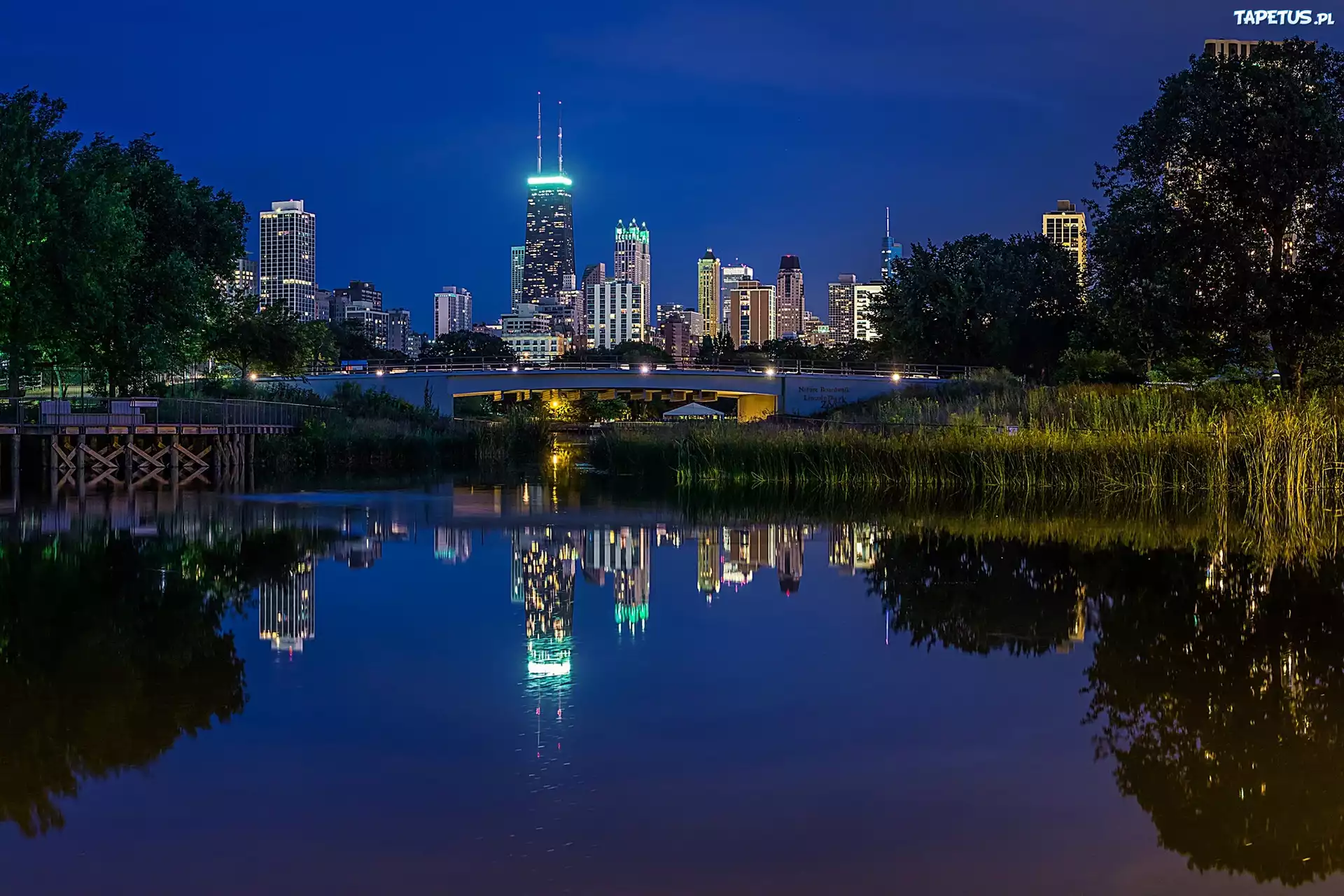 Chicago, Lincoln Park, USA, Wieżowce, Most, Noc