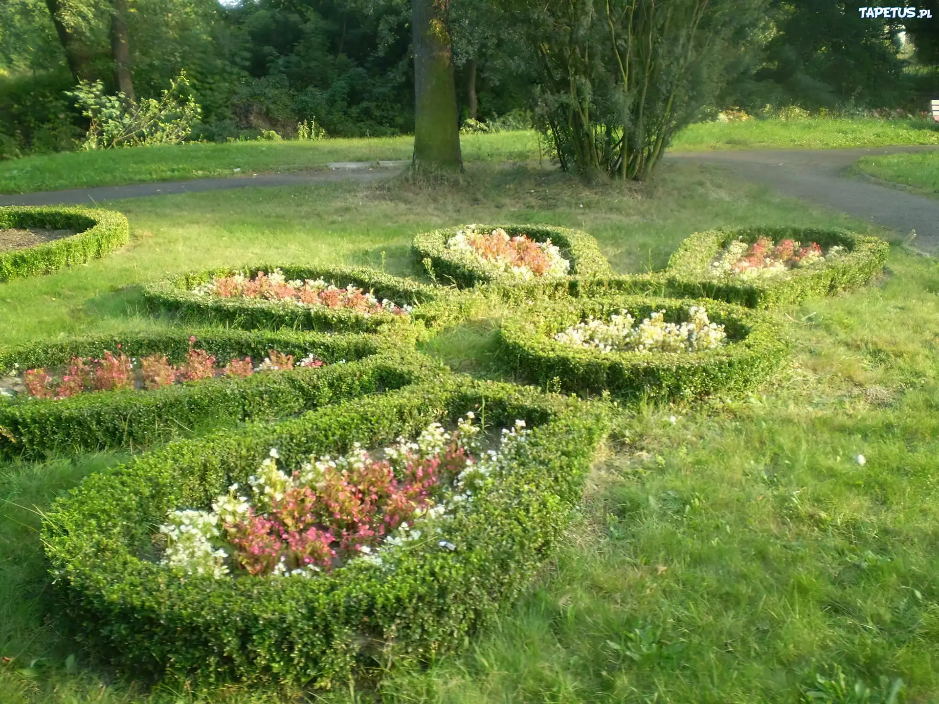 Park, Wzorek