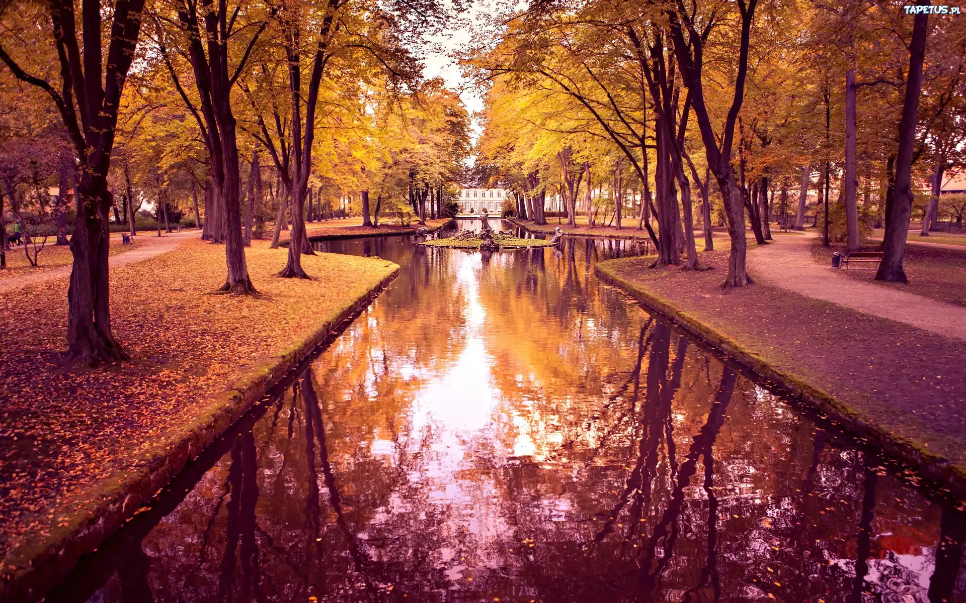 Park, Zbiornik, Wodny, Alejki, Jesień