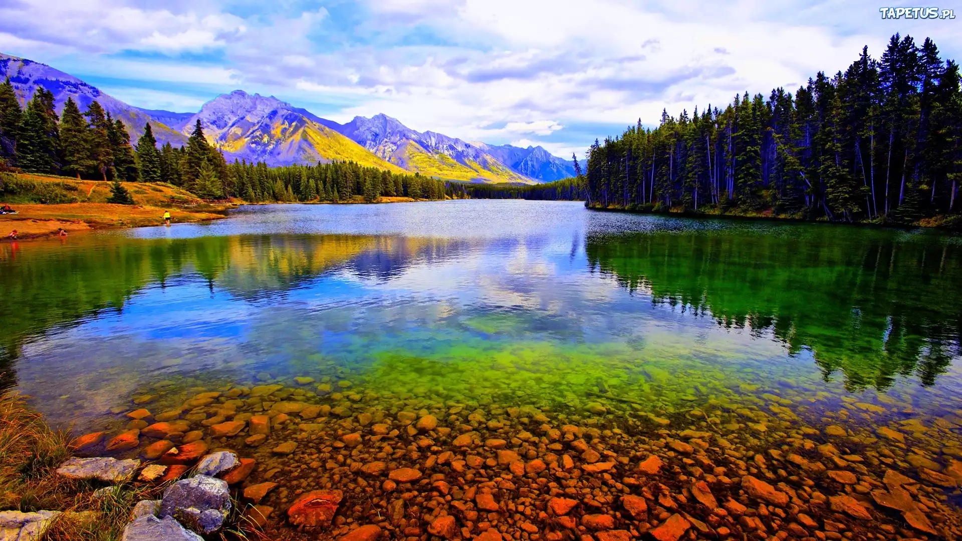 Jezioro, Lasy, Góry, Banff, Alberta