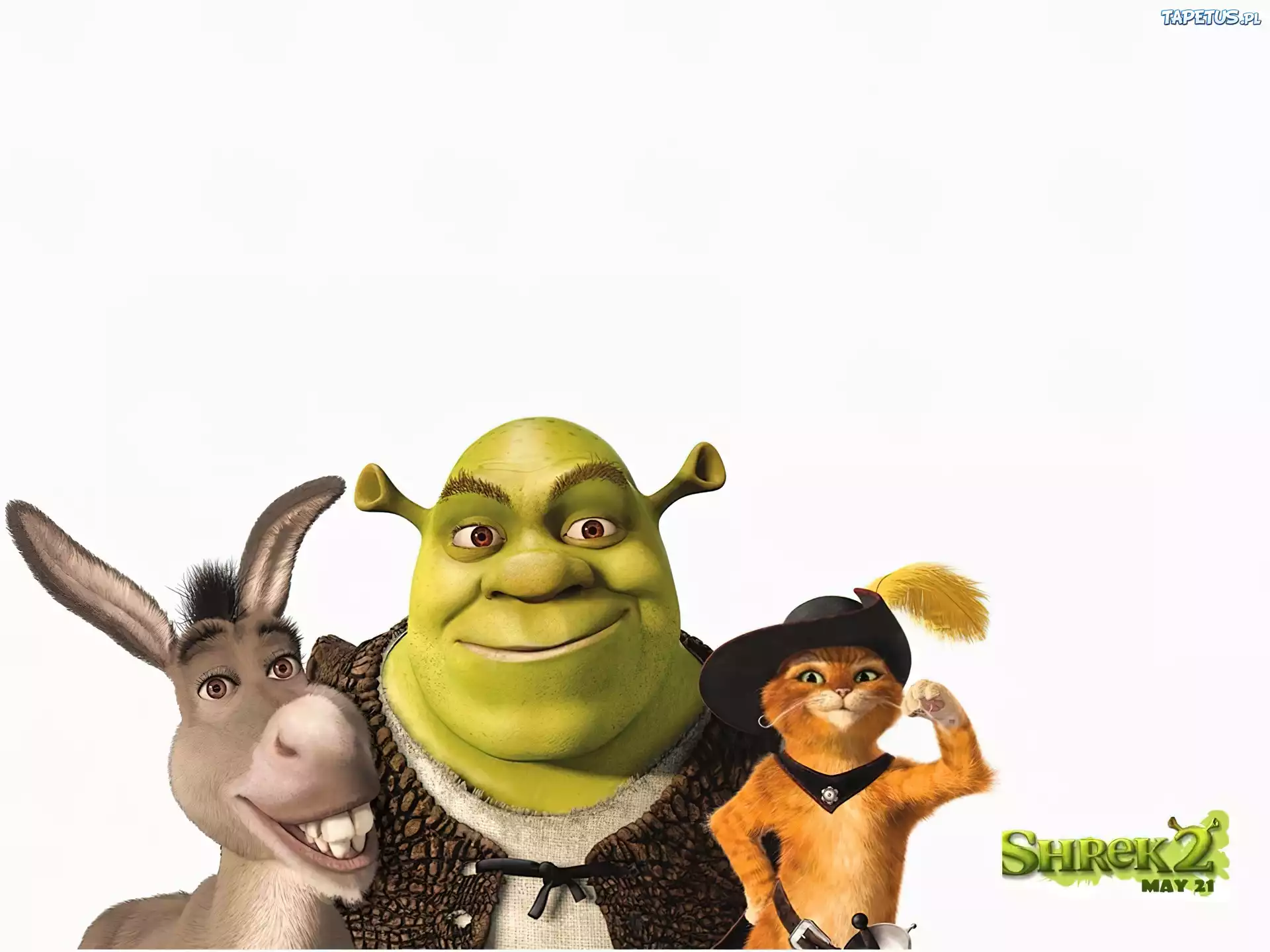 Shrek, osioł, kot, Shrek 2