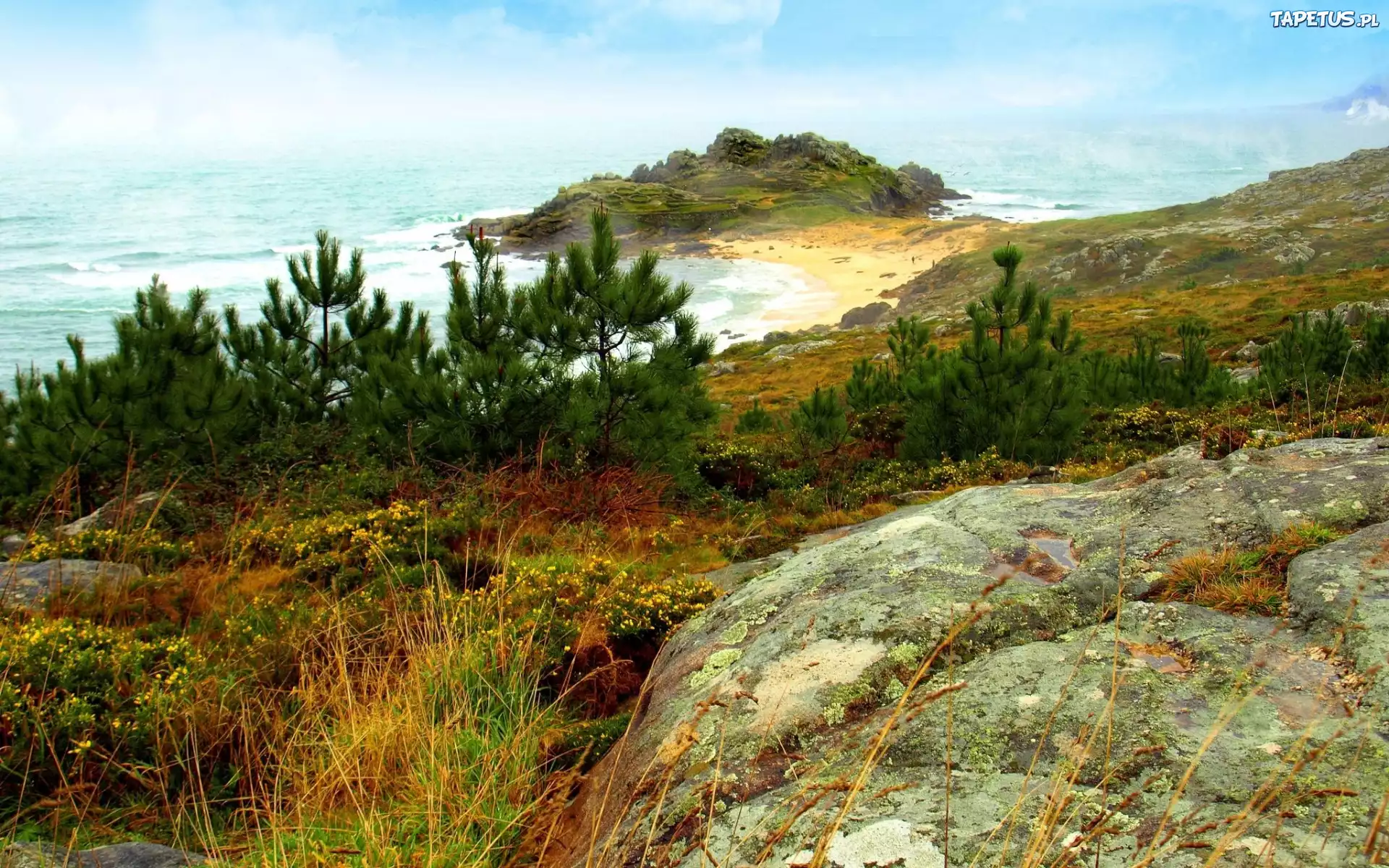 Morze, Plaża, Skała, Drzewa