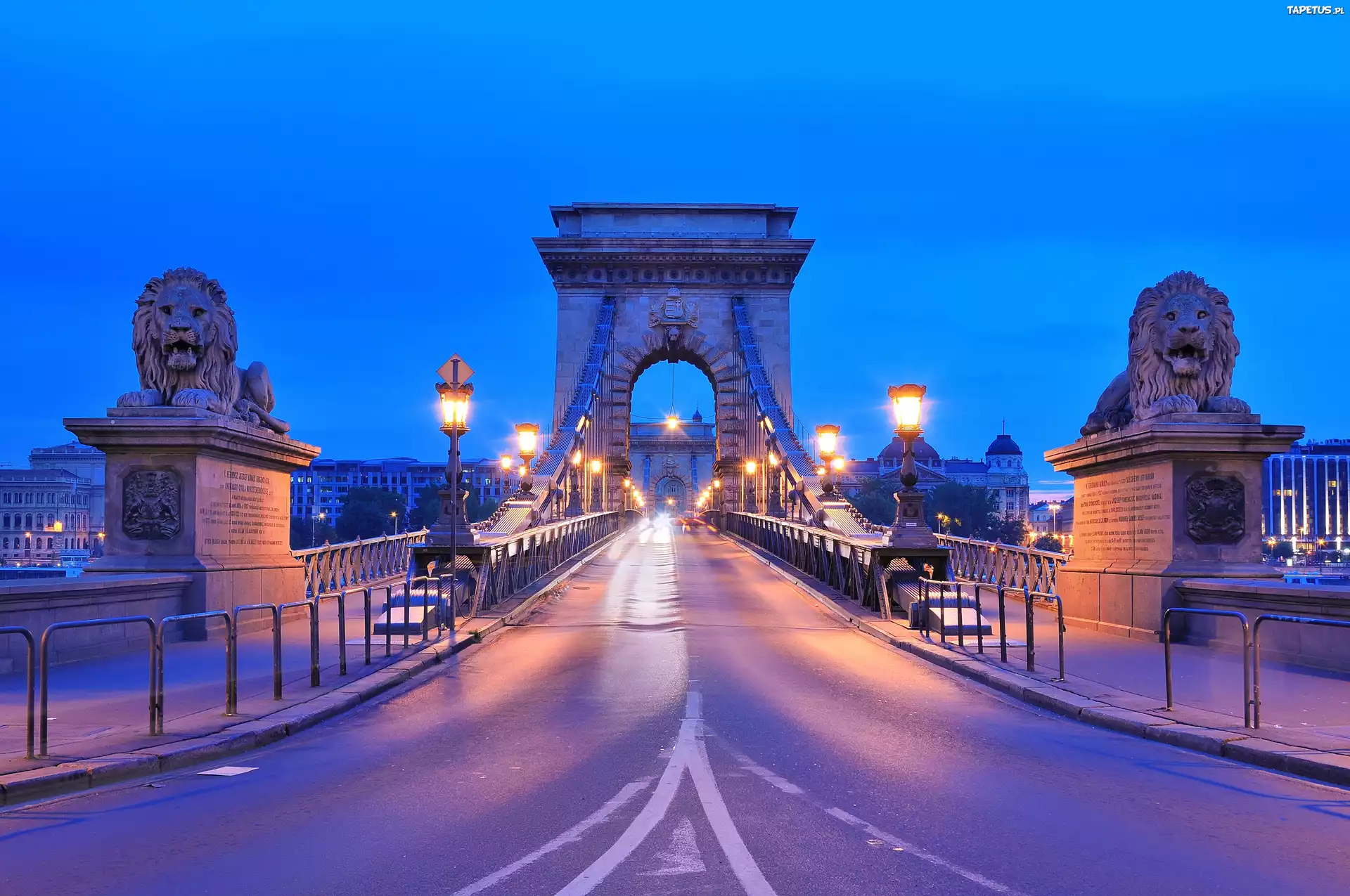 Węgry, Budapeszt, Most Łańcuchowy, Posągi, Lwy